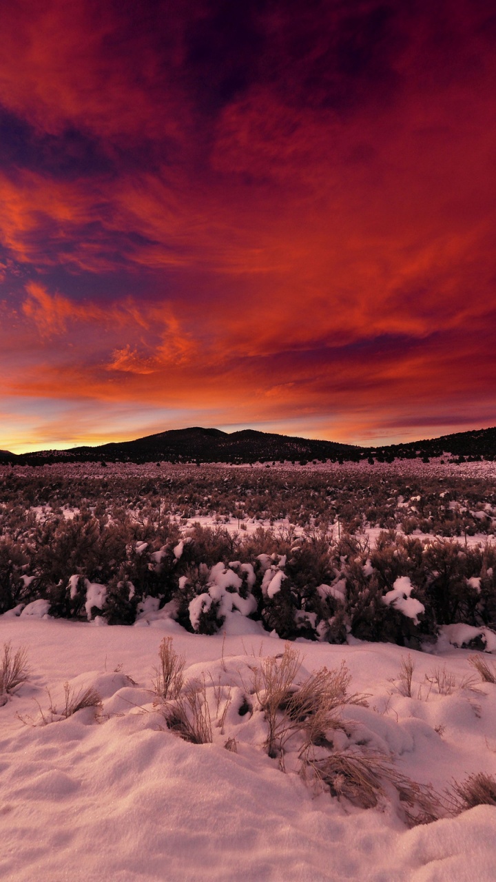 Champ Couvert de Neige au Coucher du Soleil. Wallpaper in 720x1280 Resolution