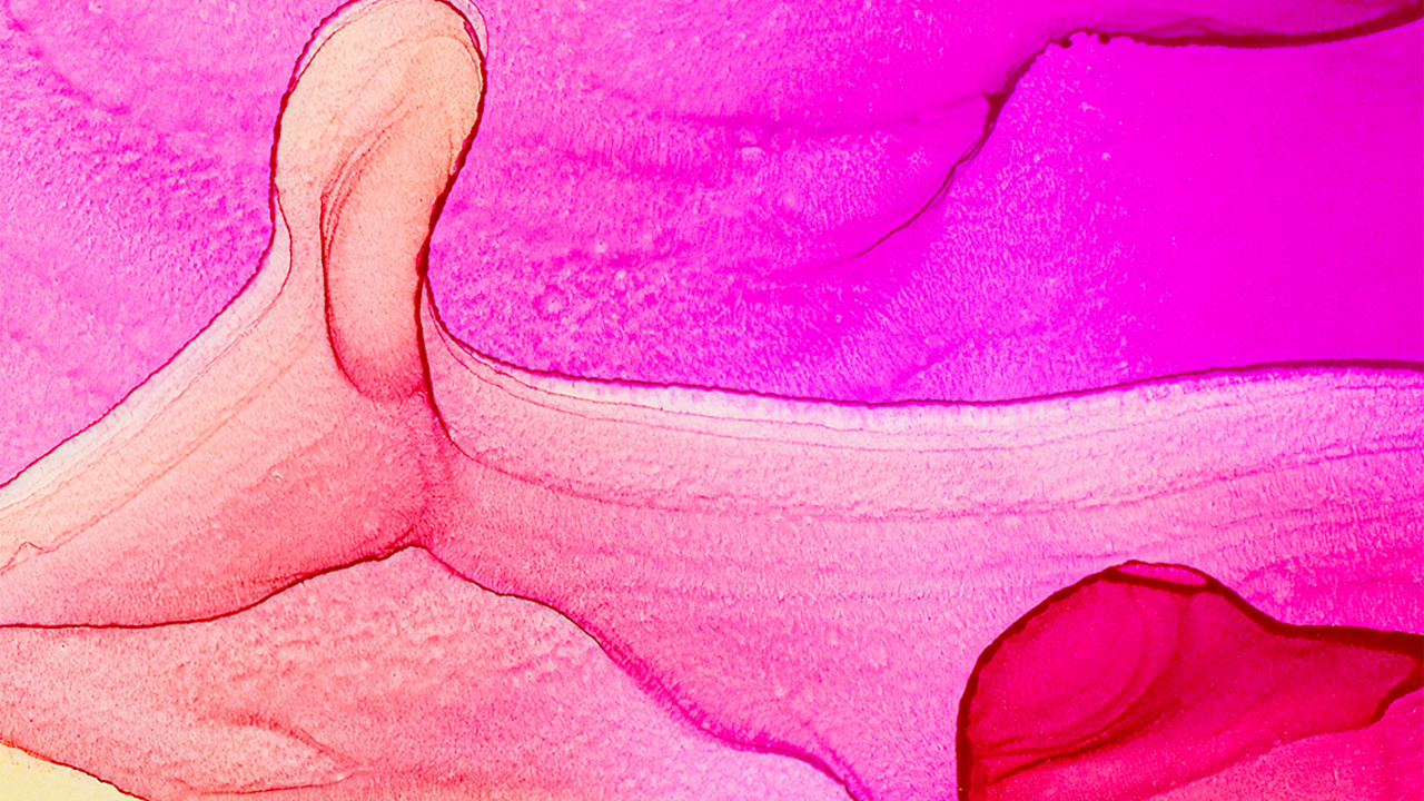 Mano, Artes Visuales, Dibujo, Pétalo, Gesto. Wallpaper in 1280x720 Resolution