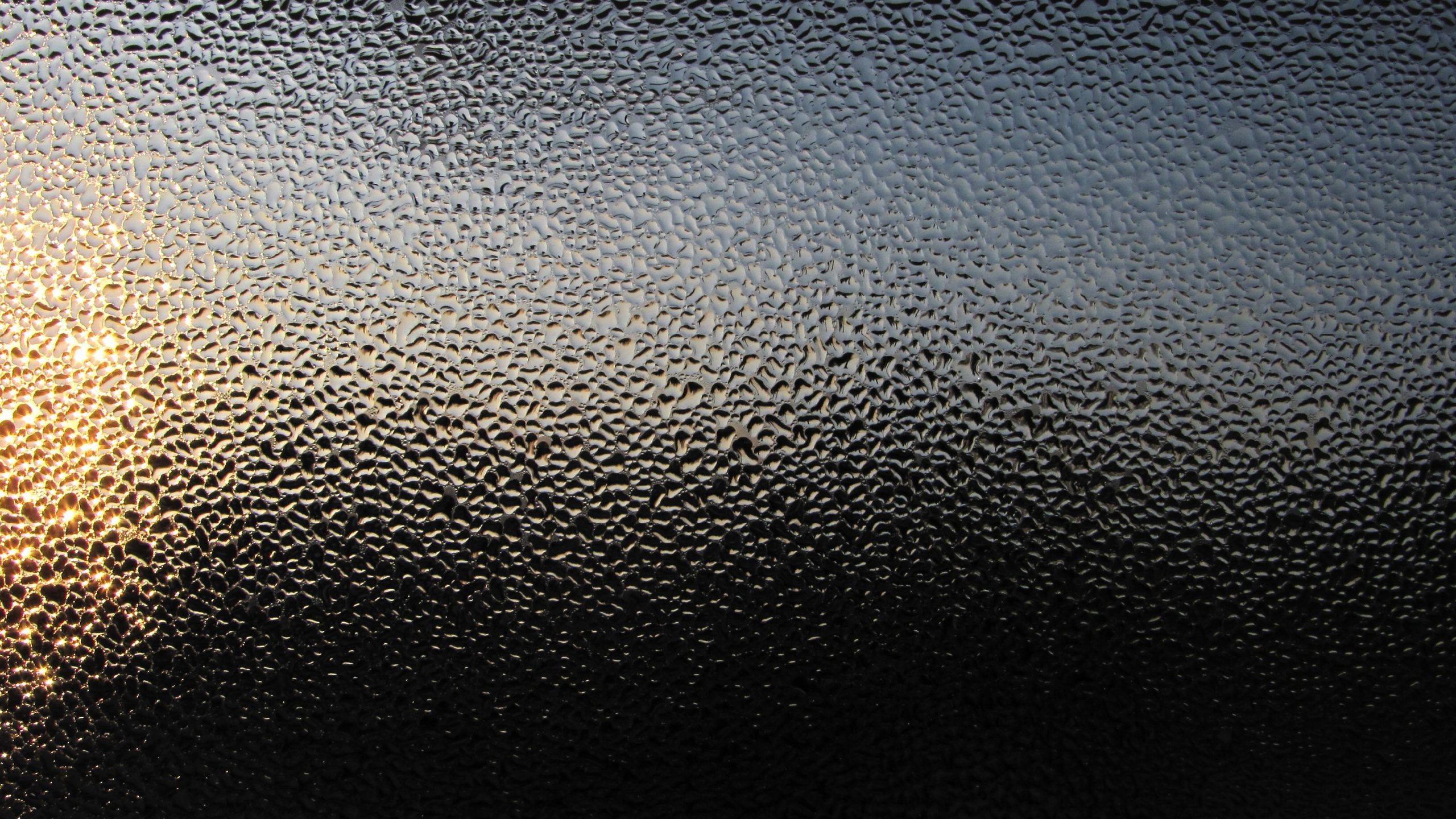 Water Droplets on Black Leather. Wallpaper in 2560x1440 Resolution