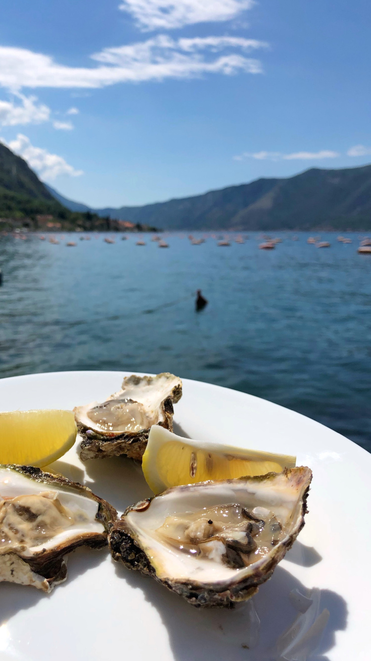 Huître, Eau, Aliments D'origine Animale, Biologie, Sciences. Wallpaper in 750x1334 Resolution
