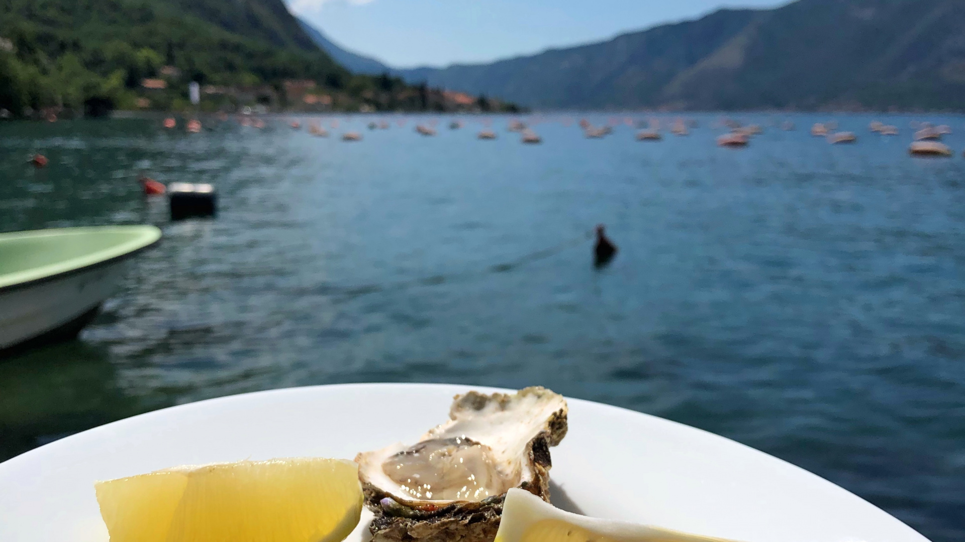 Oyster, Seafood, Water, Animal Source Foods, Biology. Wallpaper in 1920x1080 Resolution