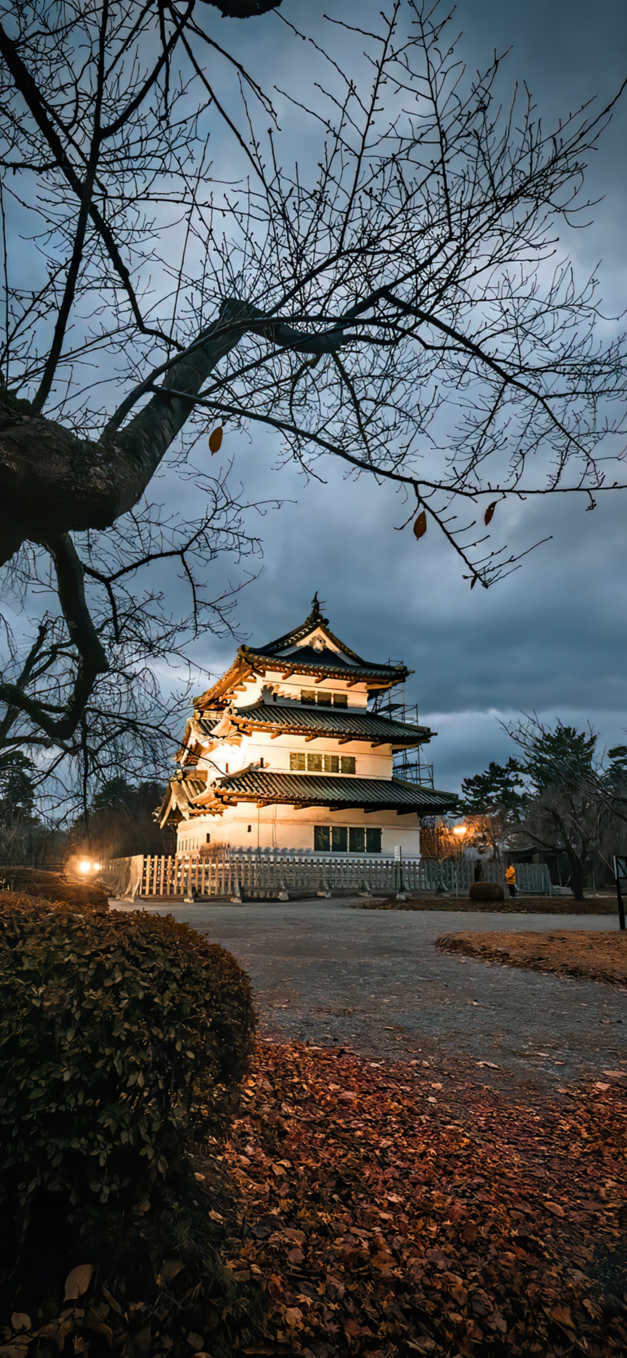 Biologie, Bâtiment, Nature, Temple, Plantes Ligneuses. Wallpaper in 1242x2688 Resolution