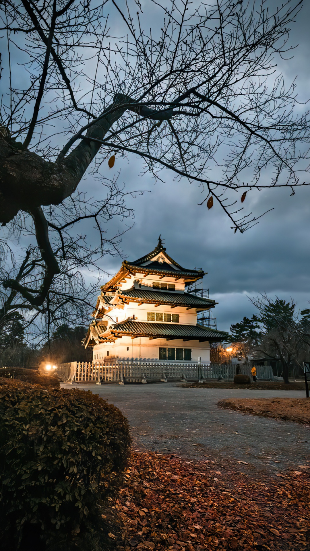 Biology, Cloud, Plant, Building, Nature. Wallpaper in 1080x1920 Resolution