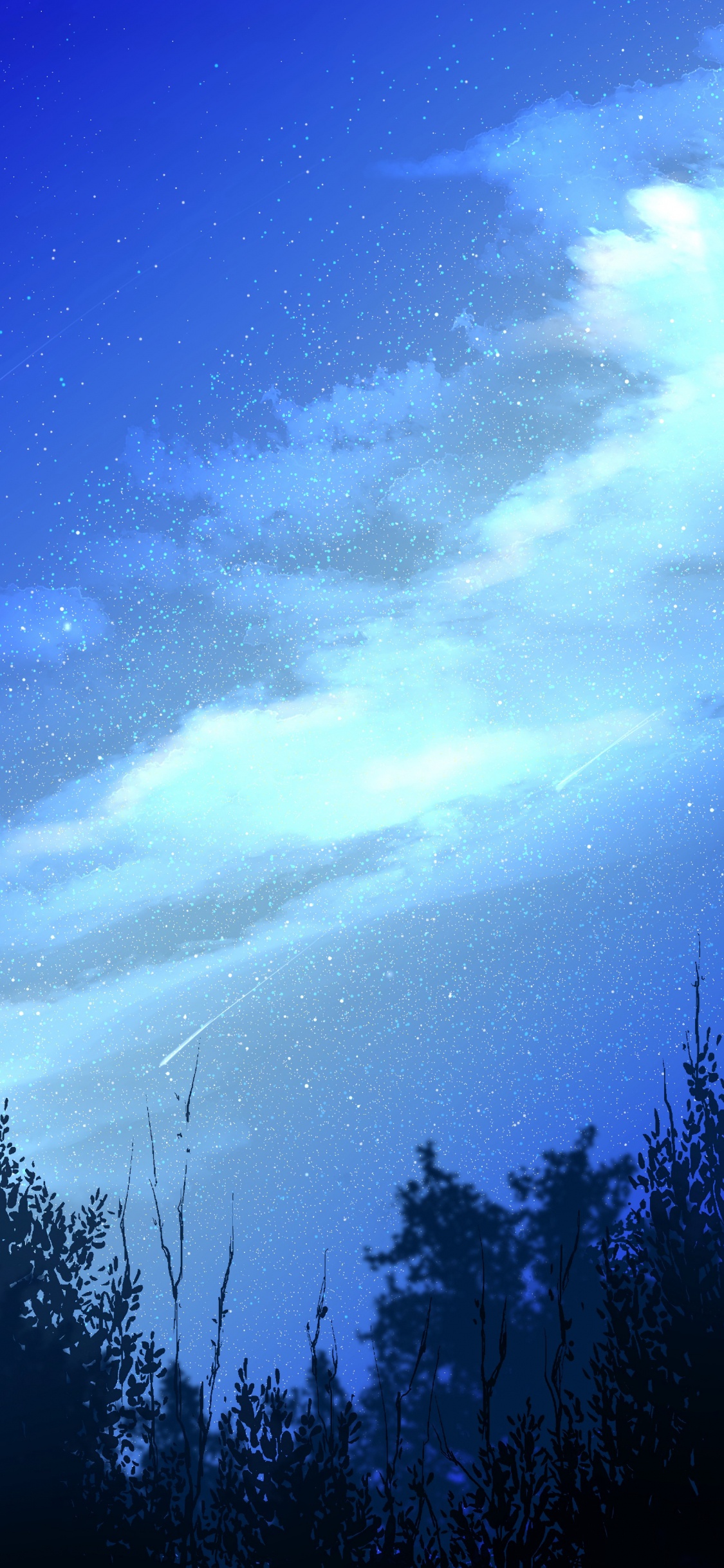 Nuit, Nature, Blue, Atmosphère, Lumière. Wallpaper in 1125x2436 Resolution