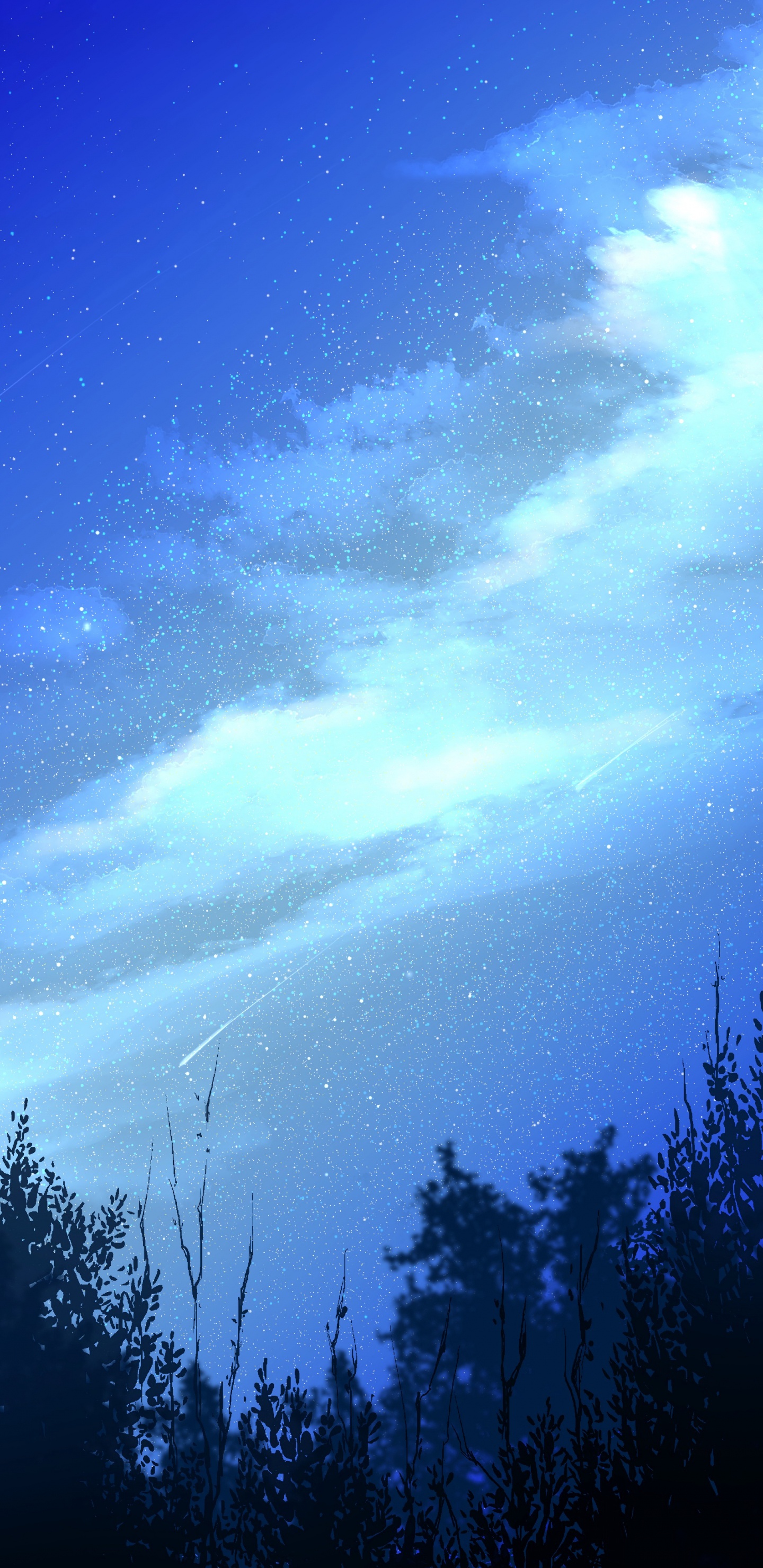 Nuit, Nature, Blue, Atmosphère, Lumière. Wallpaper in 1440x2960 Resolution