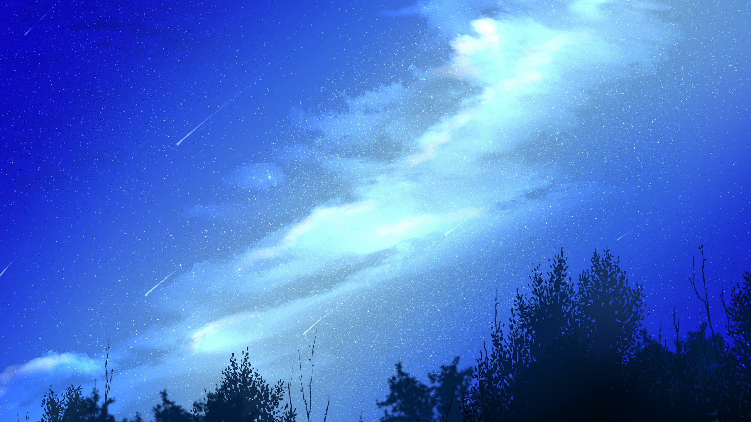 Nuit, Nature, Blue, Atmosphère, Lumière. Wallpaper in 2560x1440 Resolution