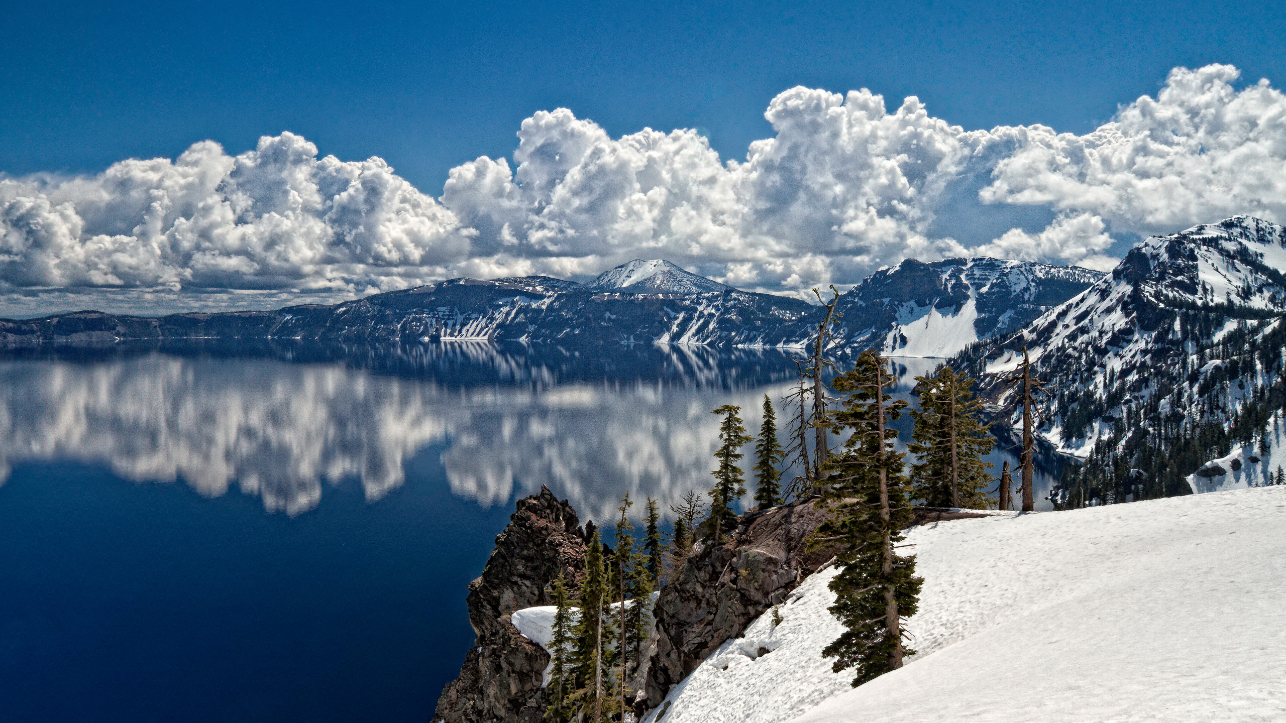 Green Pine Trees on Snow Covered Mountain During Daytime. Wallpaper in 2560x1440 Resolution