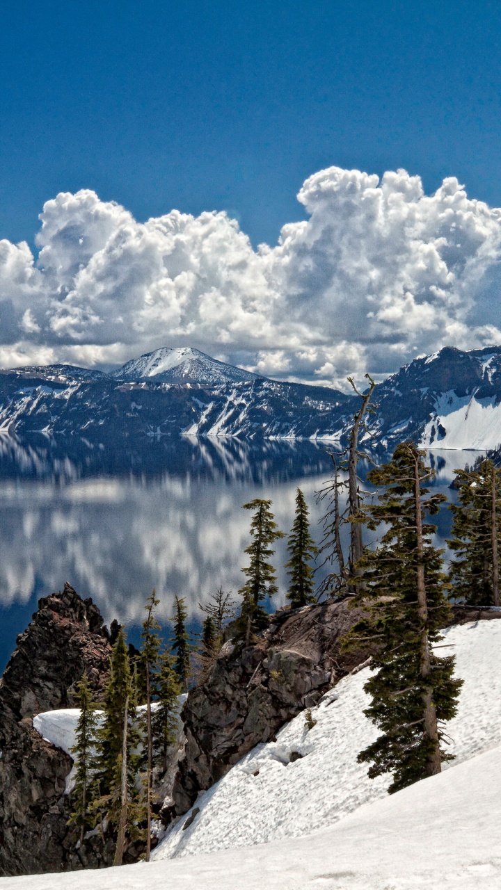 Green Pine Trees on Snow Covered Mountain During Daytime. Wallpaper in 720x1280 Resolution