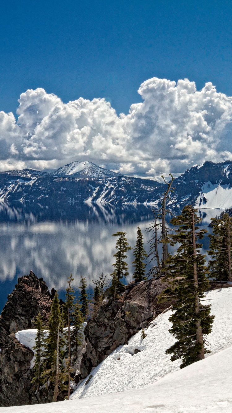 Green Pine Trees on Snow Covered Mountain During Daytime. Wallpaper in 750x1334 Resolution