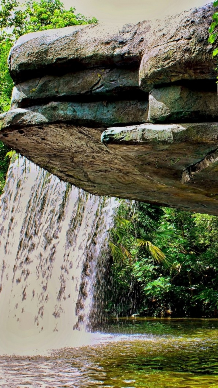 Brown Tree Trunk on Water Falls. Wallpaper in 750x1334 Resolution