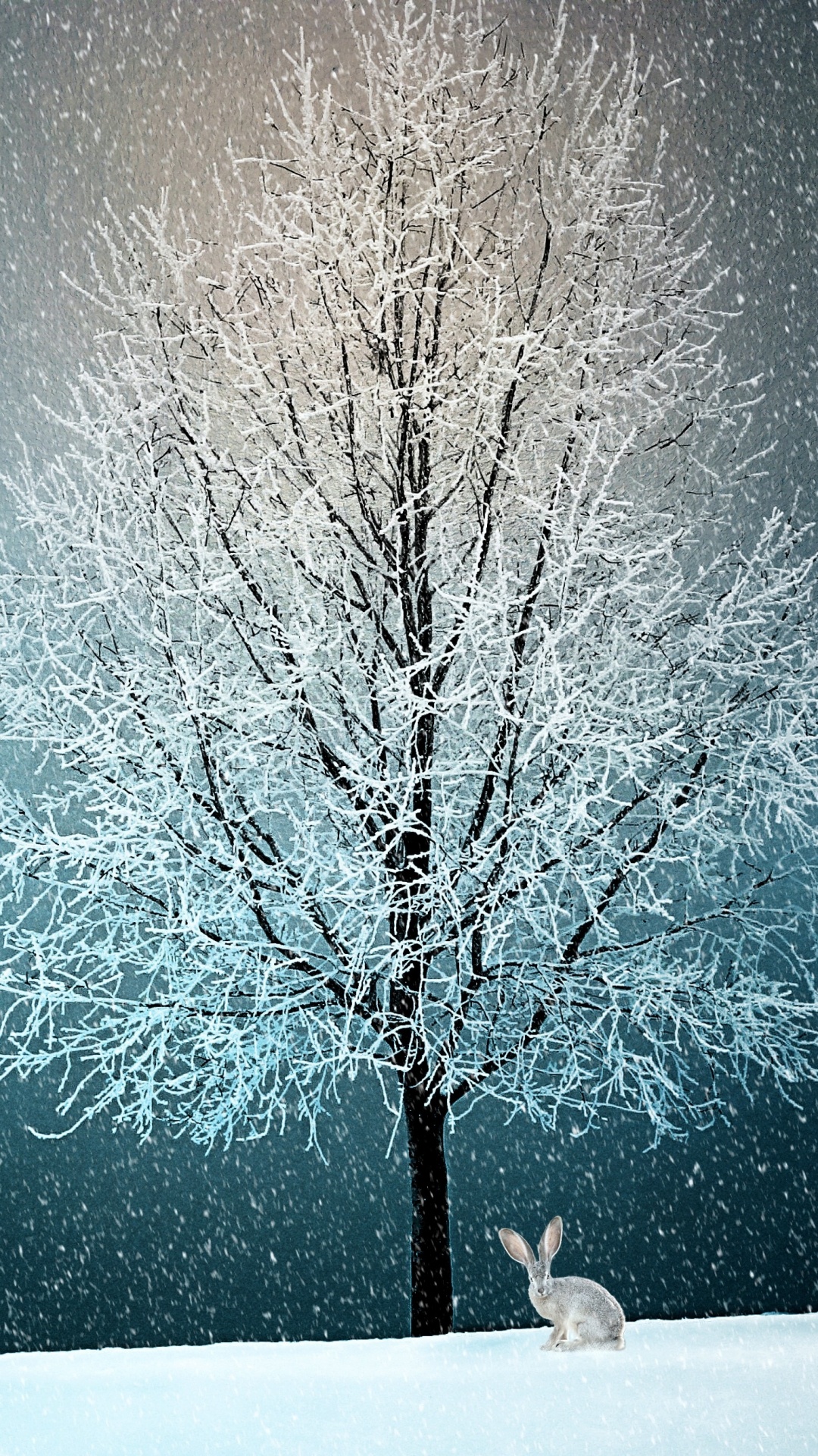 Nieve, Invierno, Naturaleza, Azul, Congelación. Wallpaper in 1080x1920 Resolution