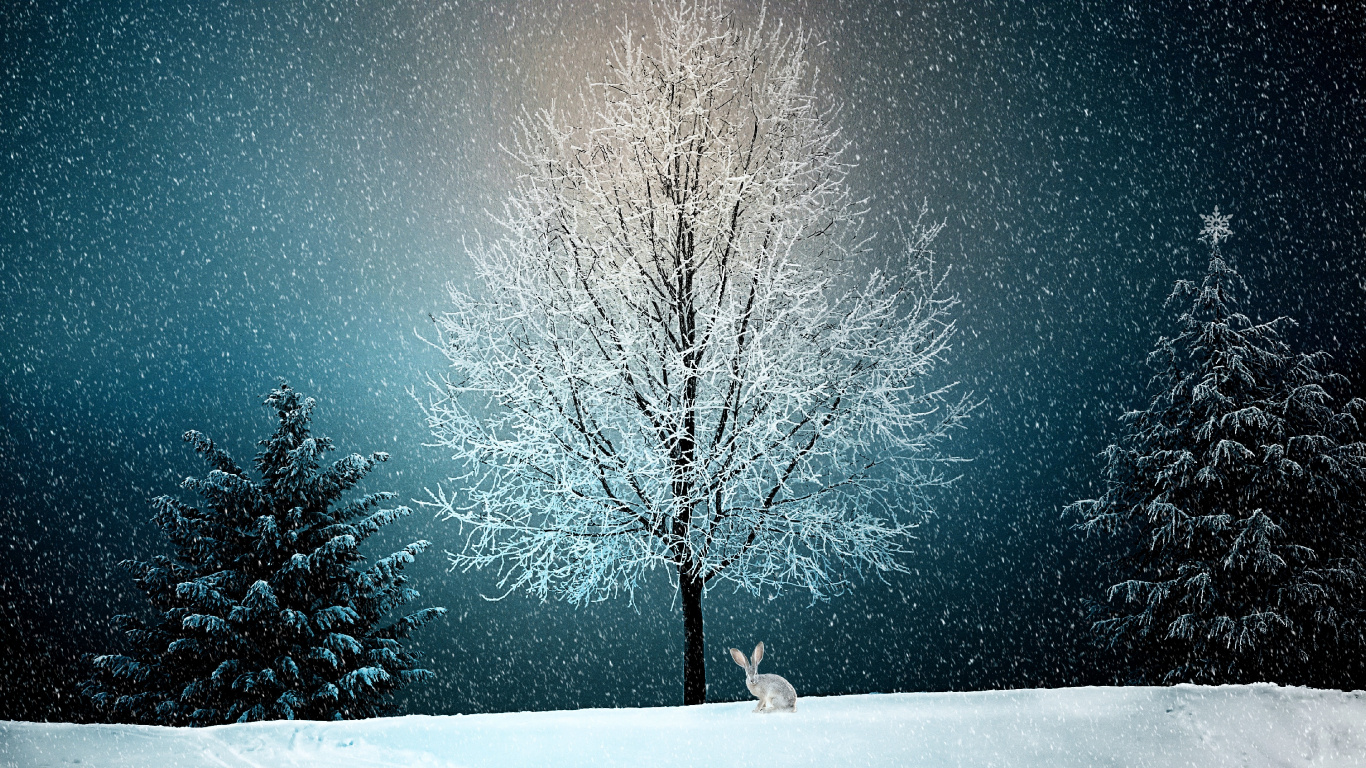 Schnee, Winter, Baum, Natur, Blau. Wallpaper in 1366x768 Resolution