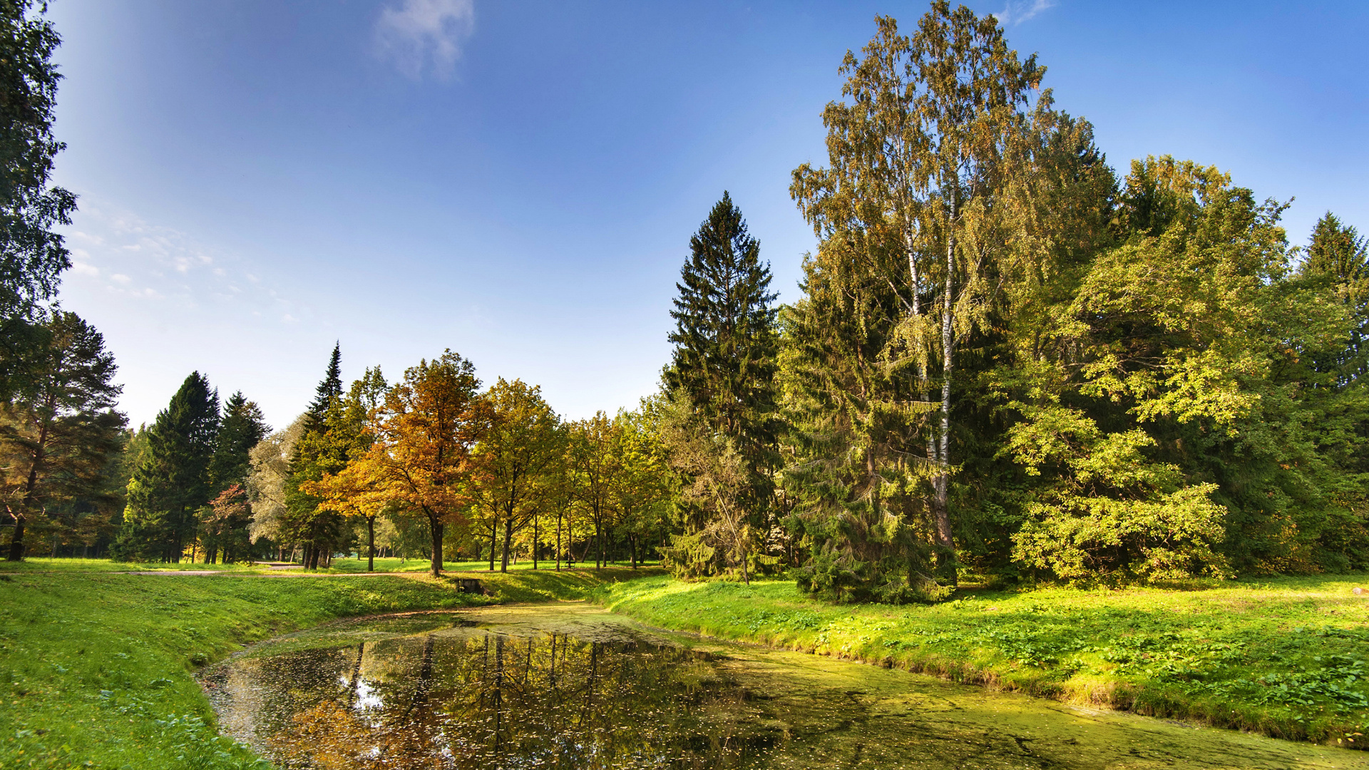 Green Grass Field and Trees Near River Under Blue Sky During Daytime. Wallpaper in 1920x1080 Resolution