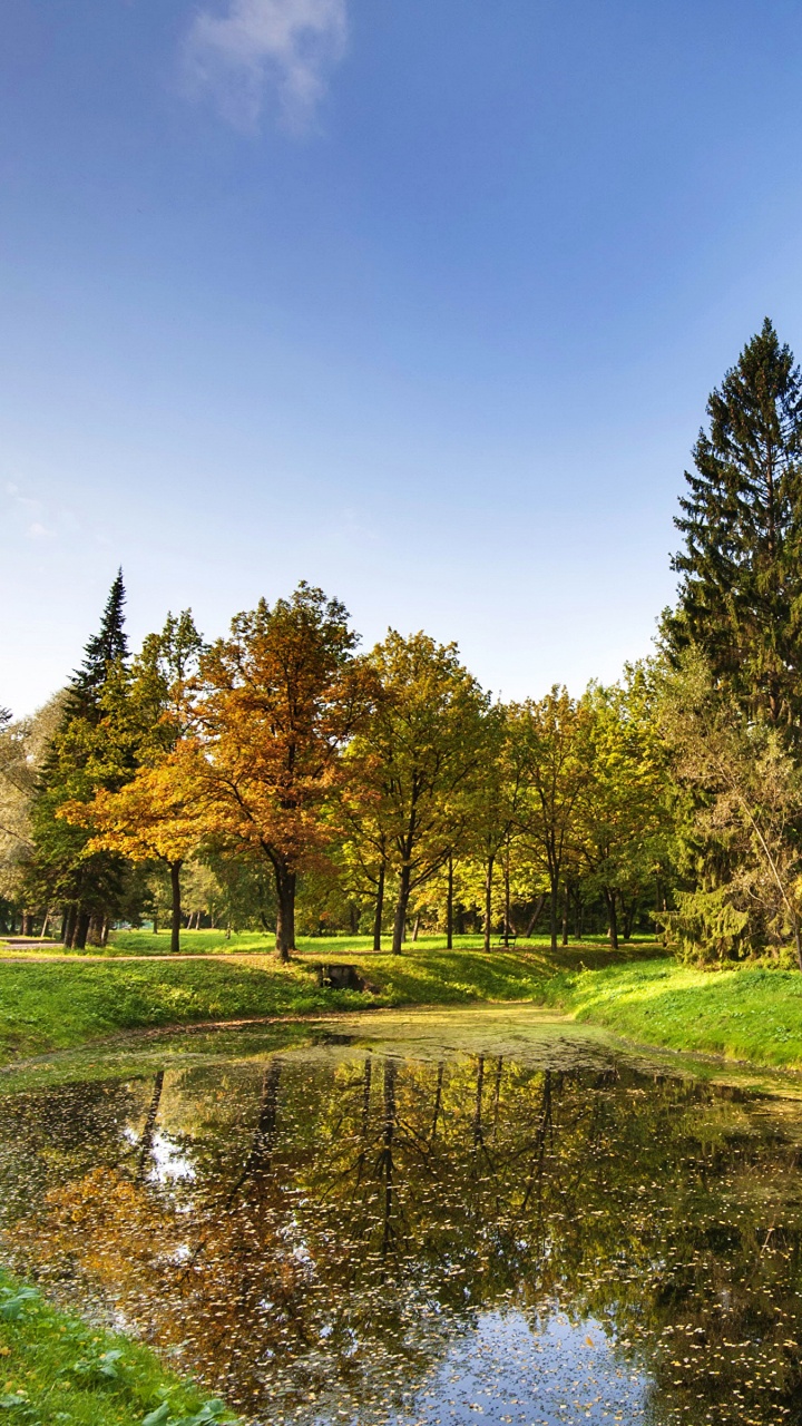 Green Grass Field and Trees Near River Under Blue Sky During Daytime. Wallpaper in 720x1280 Resolution