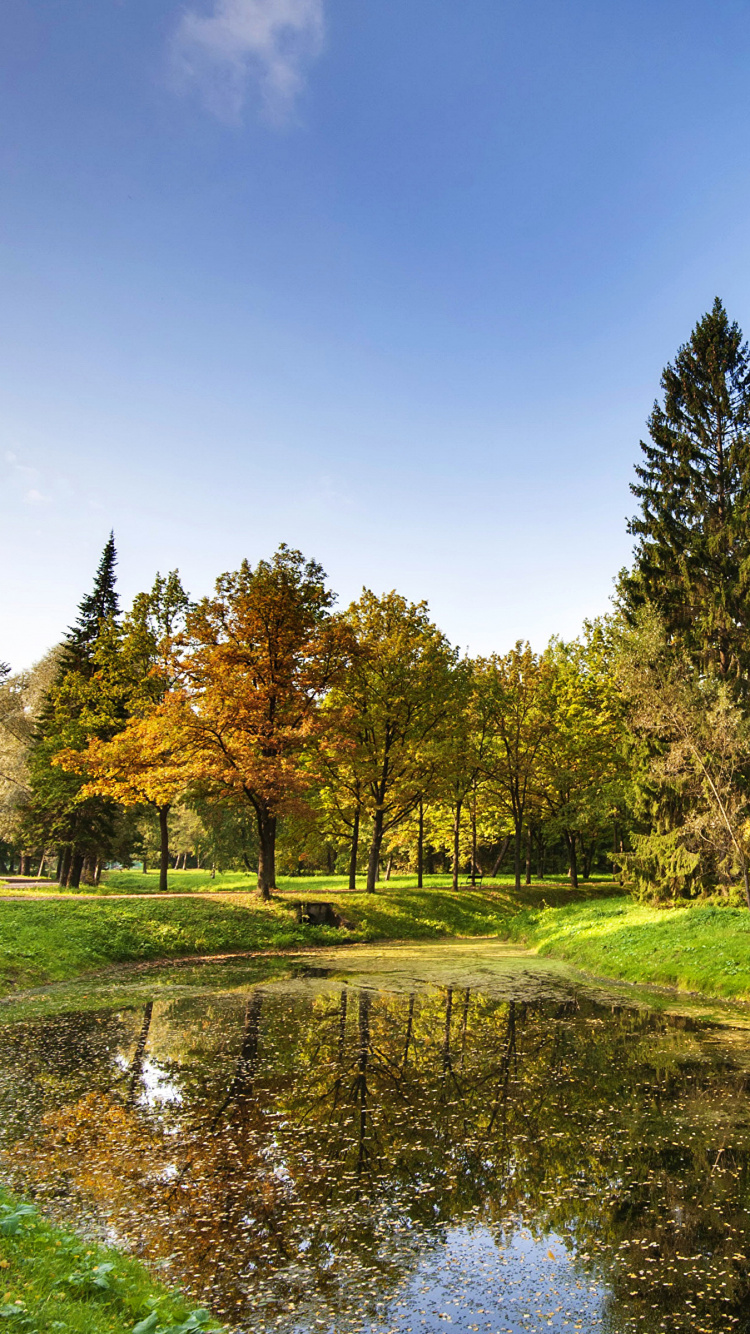 Green Grass Field and Trees Near River Under Blue Sky During Daytime. Wallpaper in 750x1334 Resolution