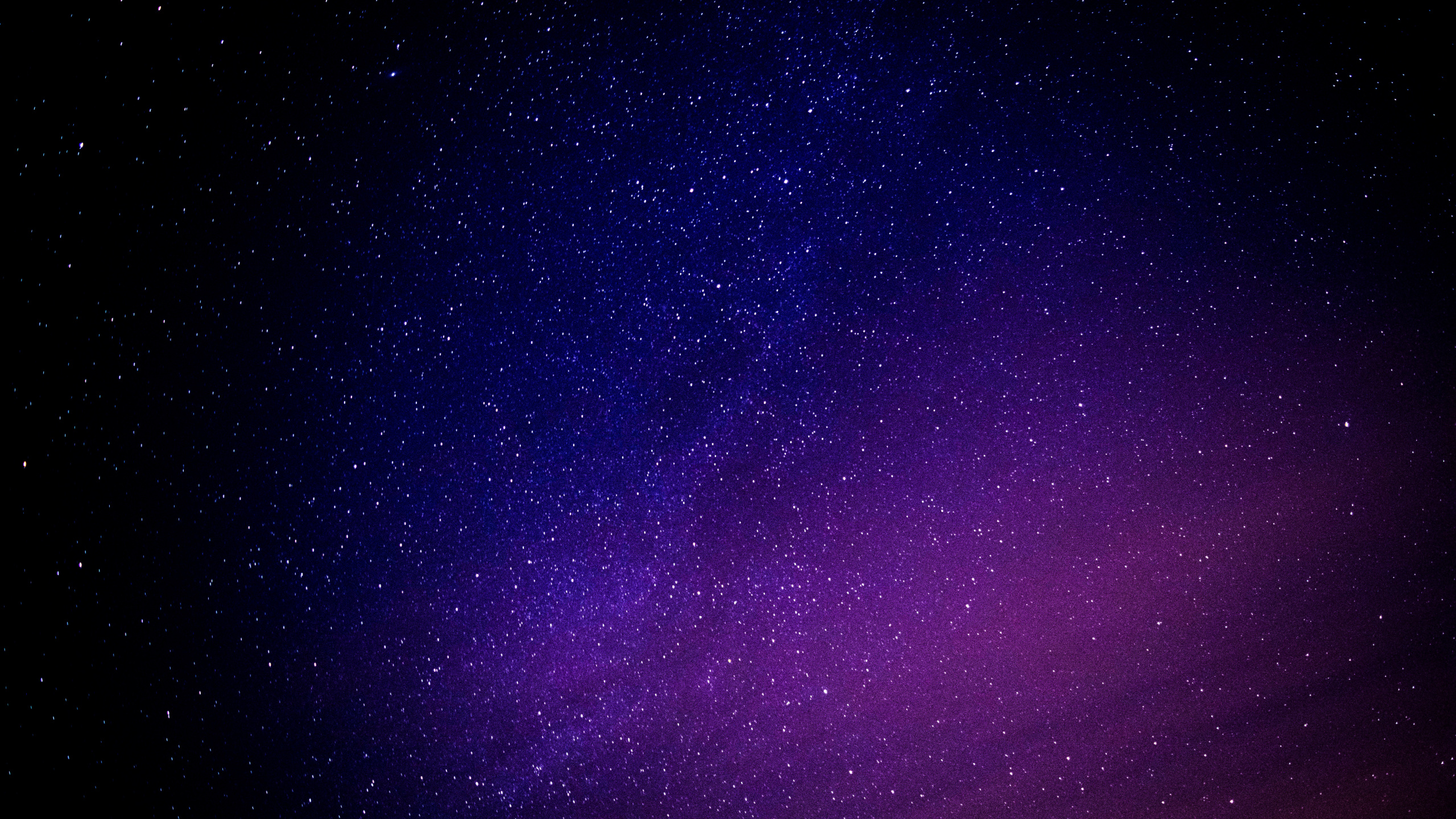 Cielo Morado y Negro Durante la Noche. Wallpaper in 2560x1440 Resolution