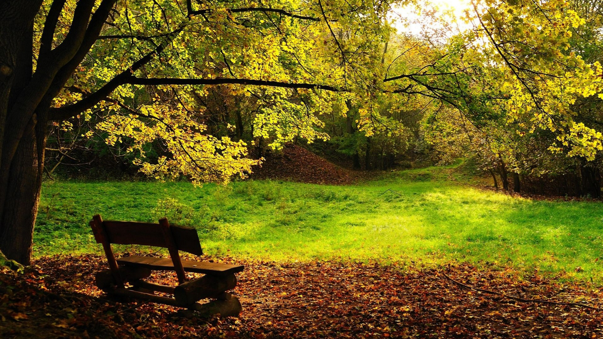 Brown Wooden Bench on Green Grass Field. Wallpaper in 1920x1080 Resolution
