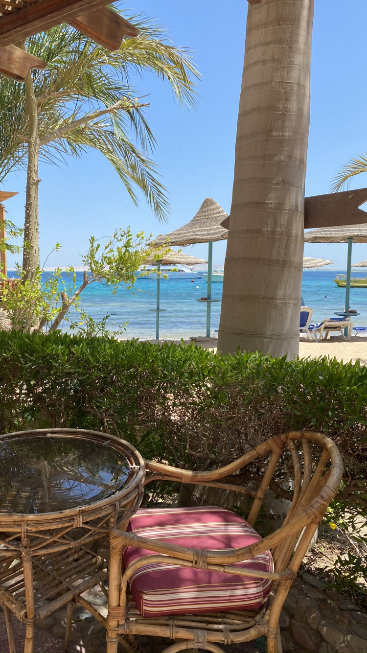 Resort, Palm Trees, Real Estate, Furniture, Seaside Resort. Wallpaper in 750x1334 Resolution