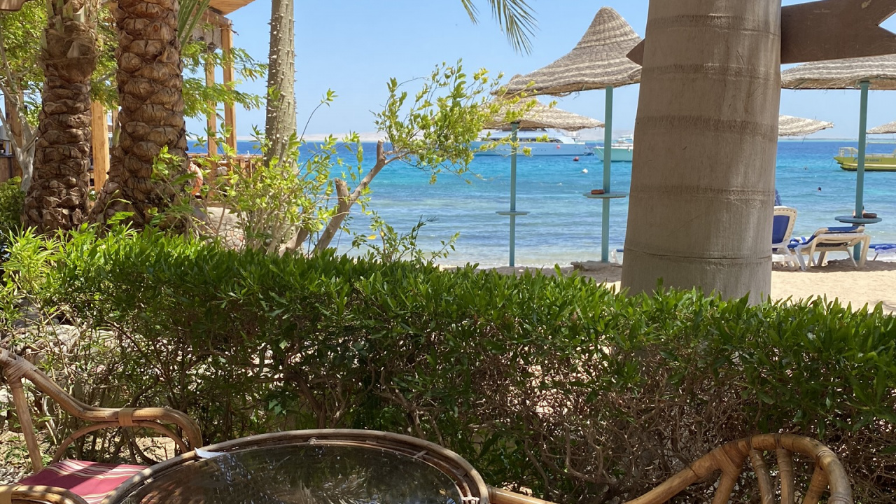 Resort, Palmera, Inmueble, Mueble, Balneario. Wallpaper in 1280x720 Resolution