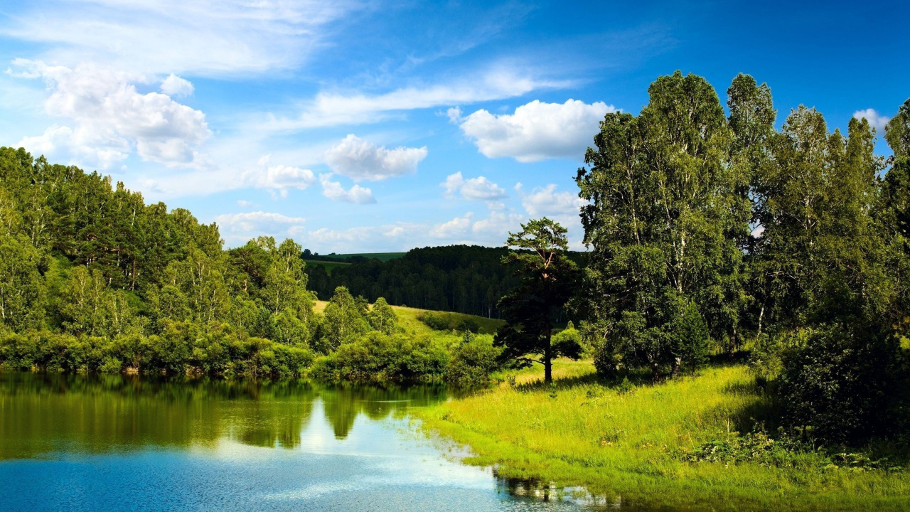 Green Trees Beside River Under Blue Sky During Daytime. Wallpaper in 1280x720 Resolution