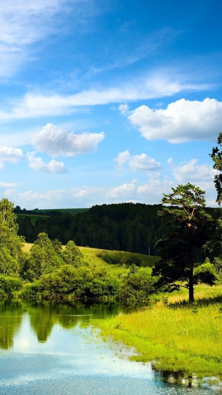 Green Trees Beside River Under Blue Sky During Daytime. Wallpaper in 720x1280 Resolution