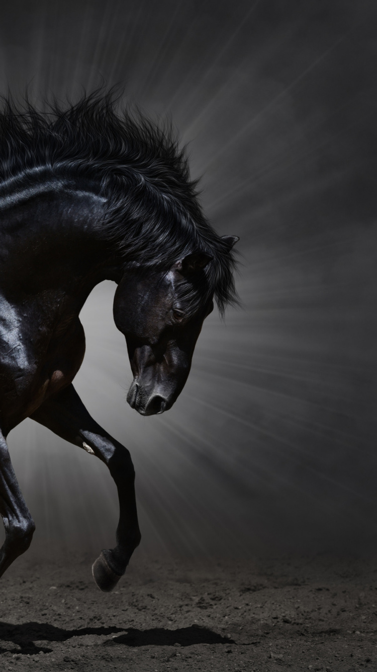 Black Horse Running on Gray Sand During Daytime. Wallpaper in 750x1334 Resolution