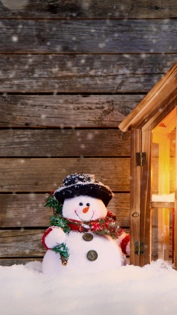 圣诞节那天, 雪人, 圣诞装饰, 圣诞节的装饰品, 冬天 壁纸 750x1334 允许