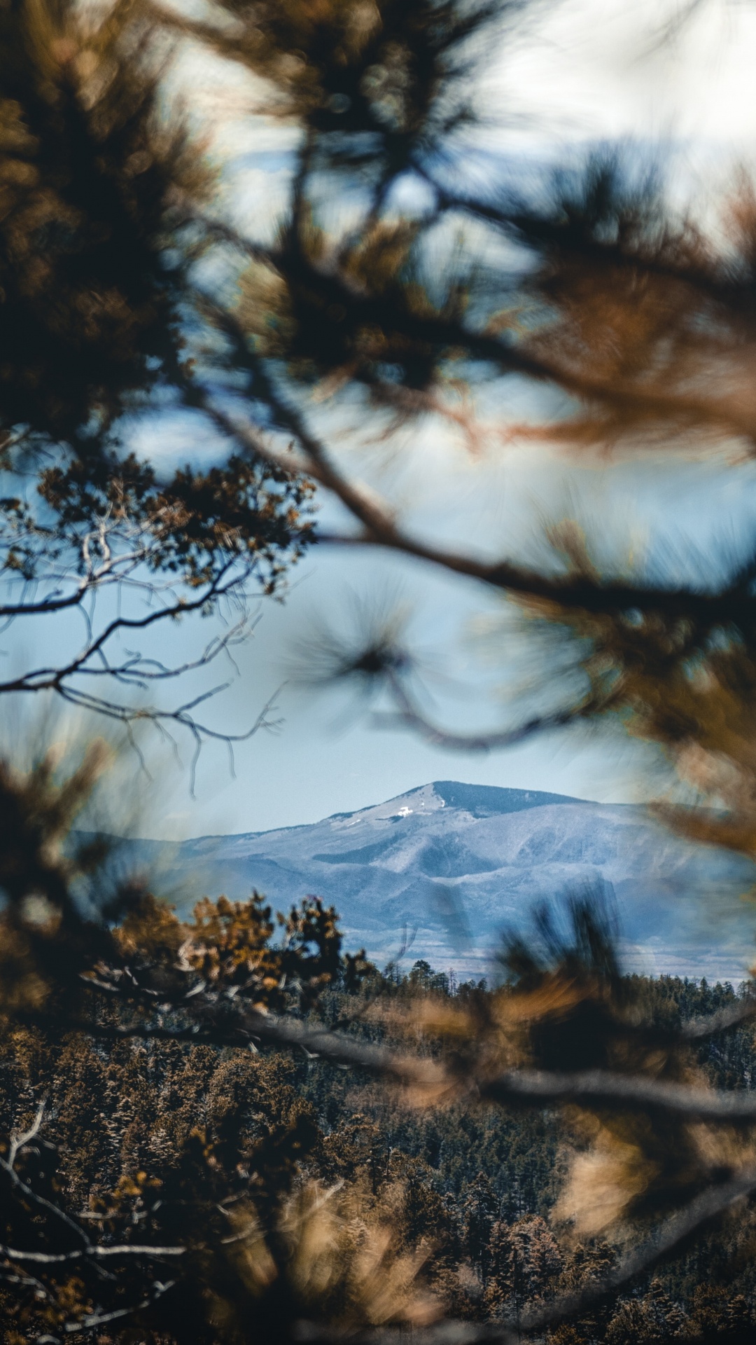 Reflection, Wilderness, Natural Landscape, Nature, Woody Plant. Wallpaper in 1080x1920 Resolution