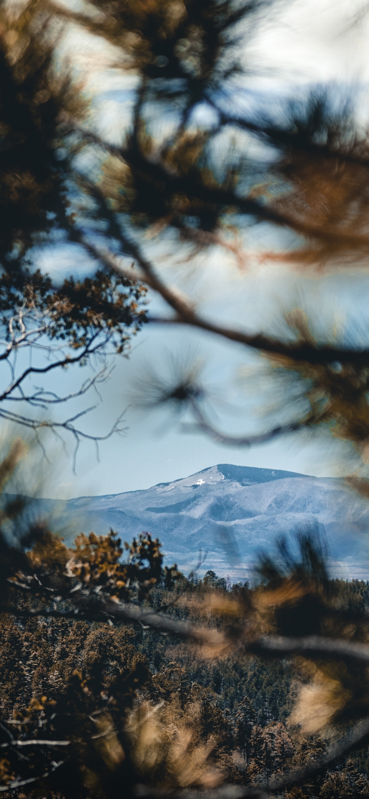 Reflection, Wilderness, Natural Landscape, Nature, Woody Plant. Wallpaper in 1242x2688 Resolution