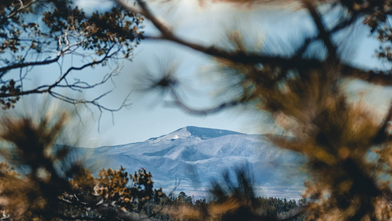 Reflection, Wilderness, Natural Landscape, Nature, Woody Plant. Wallpaper in 1280x720 Resolution