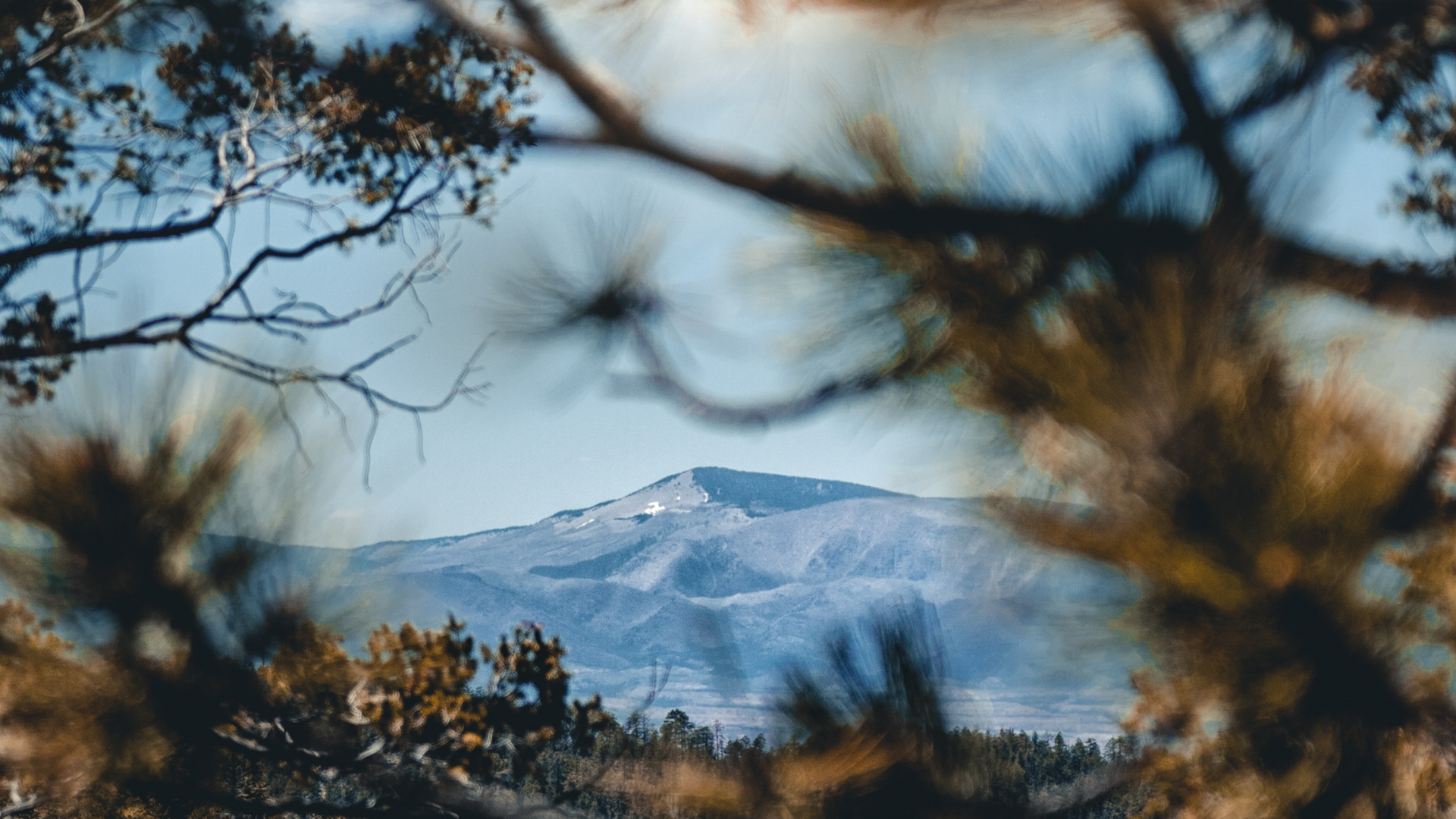 Reflection, Wilderness, Natural Landscape, Nature, Woody Plant. Wallpaper in 1920x1080 Resolution