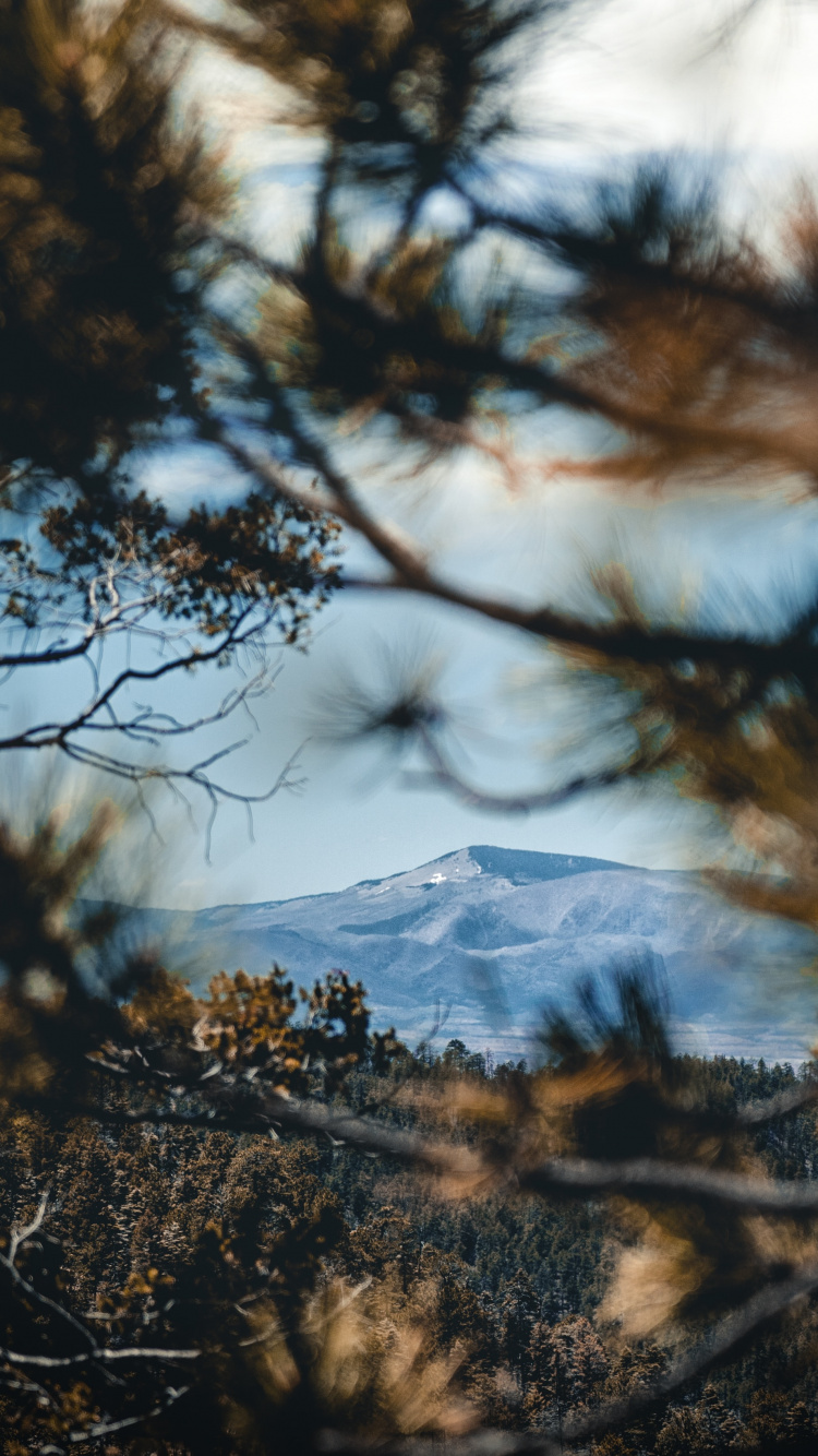 Reflexion, Wildnis, Naturlandschaft, Natur, Woody Pflanze. Wallpaper in 750x1334 Resolution