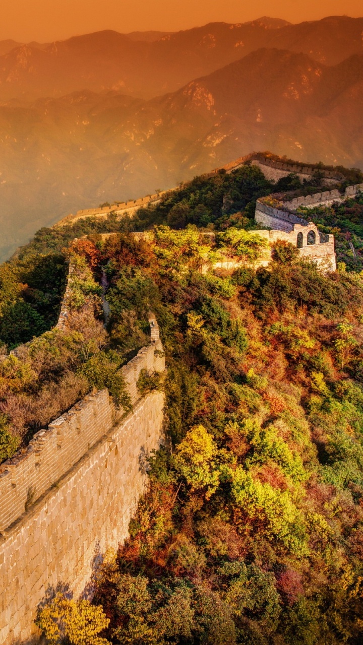 Grünes Gras Und Bäume Bedeckten Berge Tagsüber. Wallpaper in 720x1280 Resolution