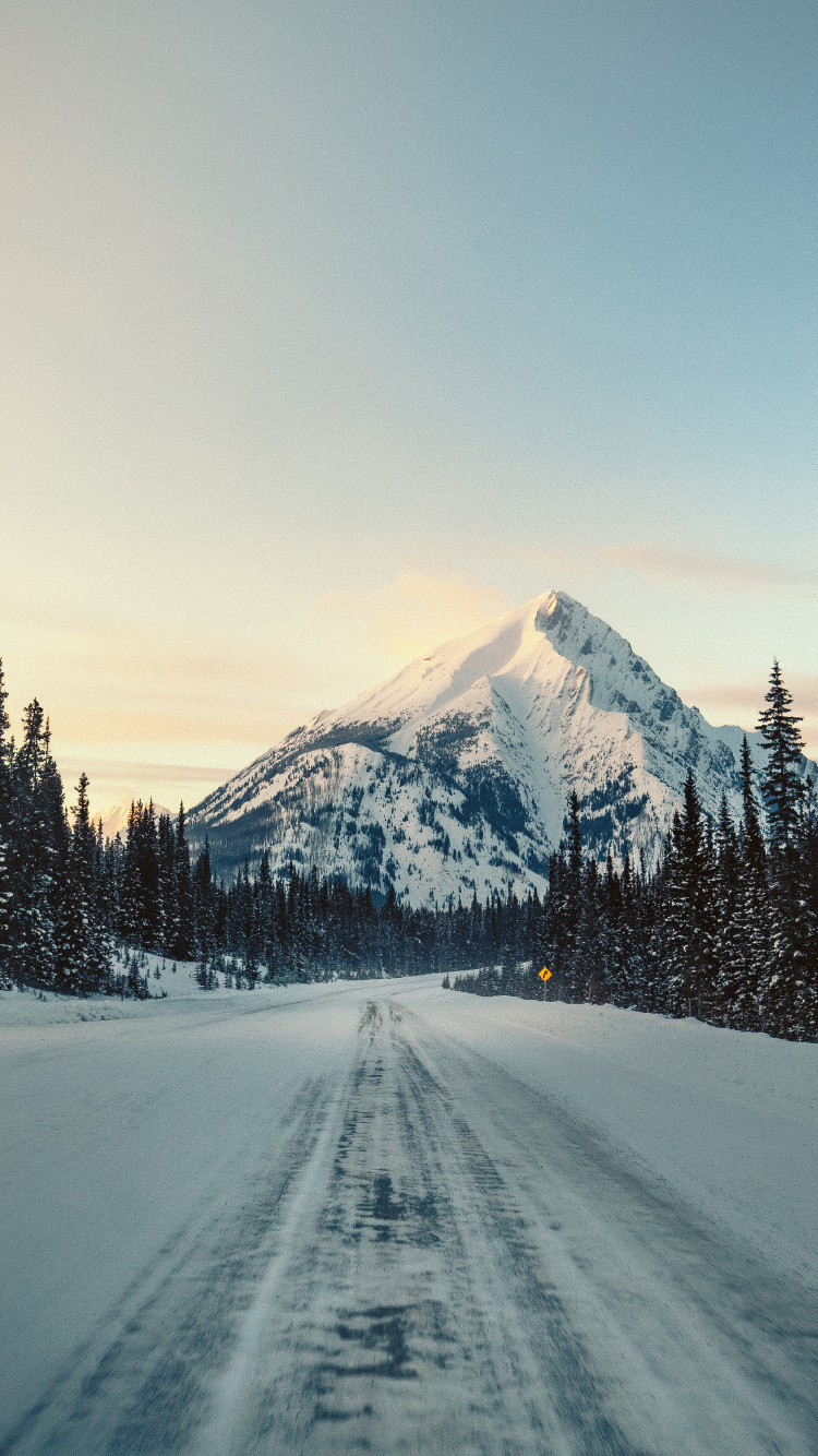 Road, Schnee, Winter, Bergigen Landschaftsformen, Baum. Wallpaper in 750x1334 Resolution