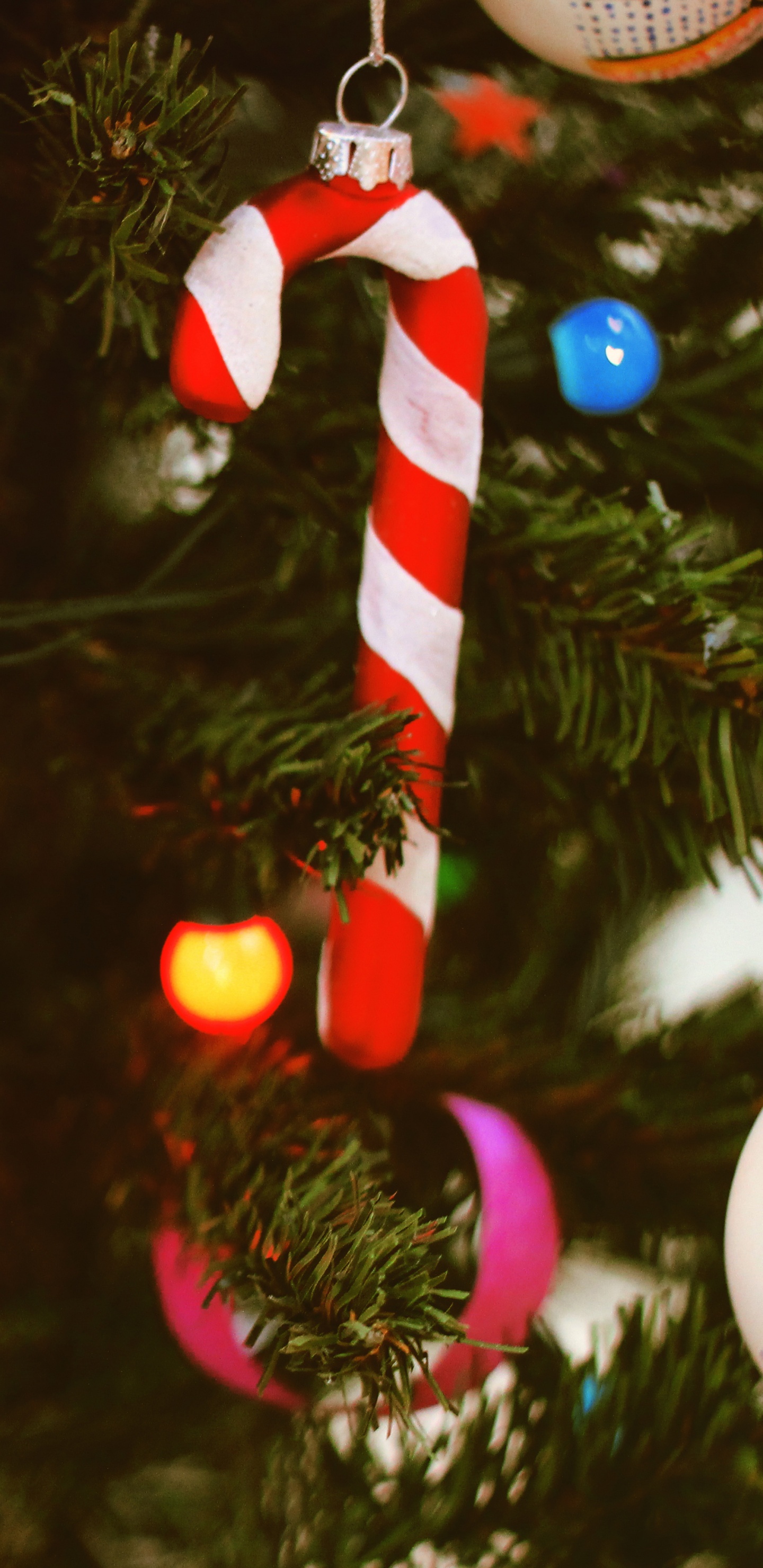 Adorno de Navidad, Navidad, Decoración de la Navidad, Evento, Nochevieja. Wallpaper in 1440x2960 Resolution