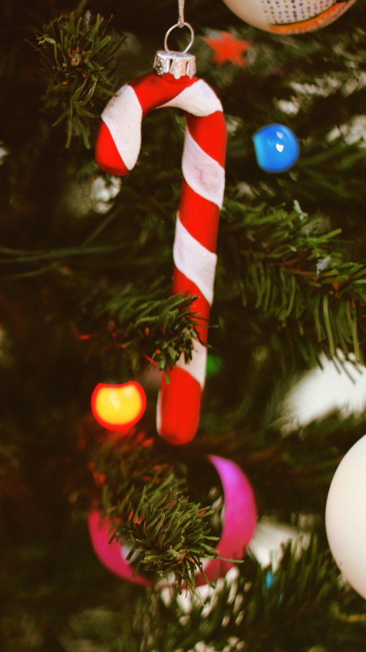 Adorno de Navidad, Navidad, Decoración de la Navidad, Evento, Nochevieja. Wallpaper in 750x1334 Resolution