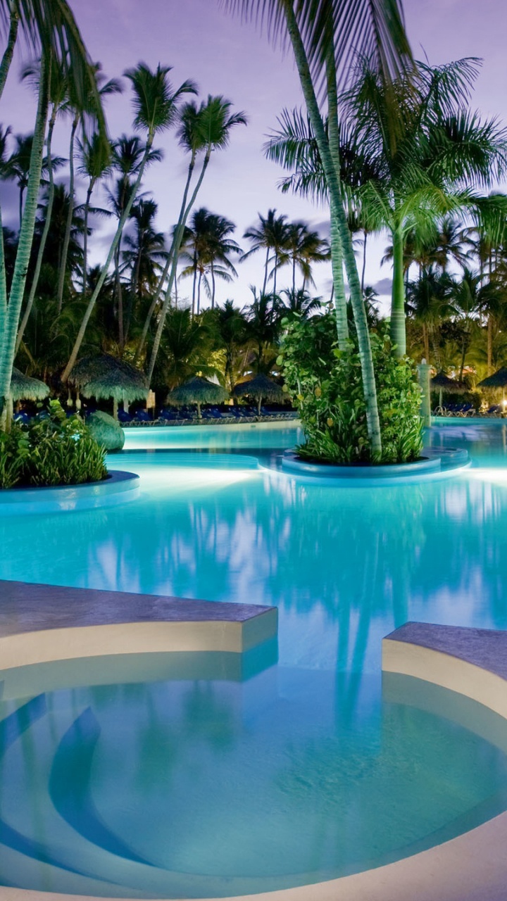 Blue and White Swimming Pool Surrounded by Green Palm Trees During Daytime. Wallpaper in 720x1280 Resolution