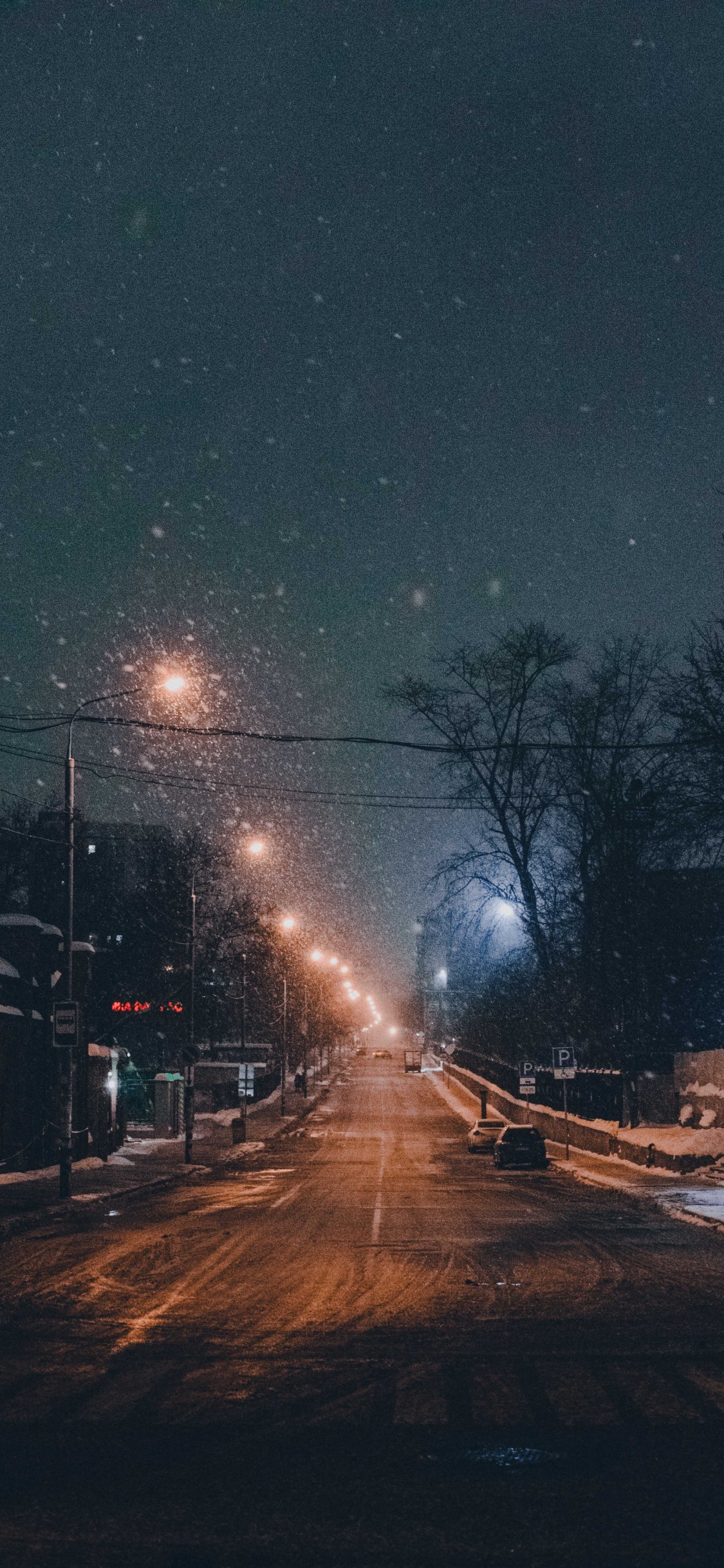 Braune Kahlen Bäume in Der Nähe Von Braunem Betongebäude Während Der Nacht Night. Wallpaper in 1125x2436 Resolution