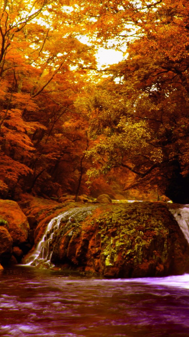 el Agua Cae en Medio de Los Árboles. Wallpaper in 750x1334 Resolution