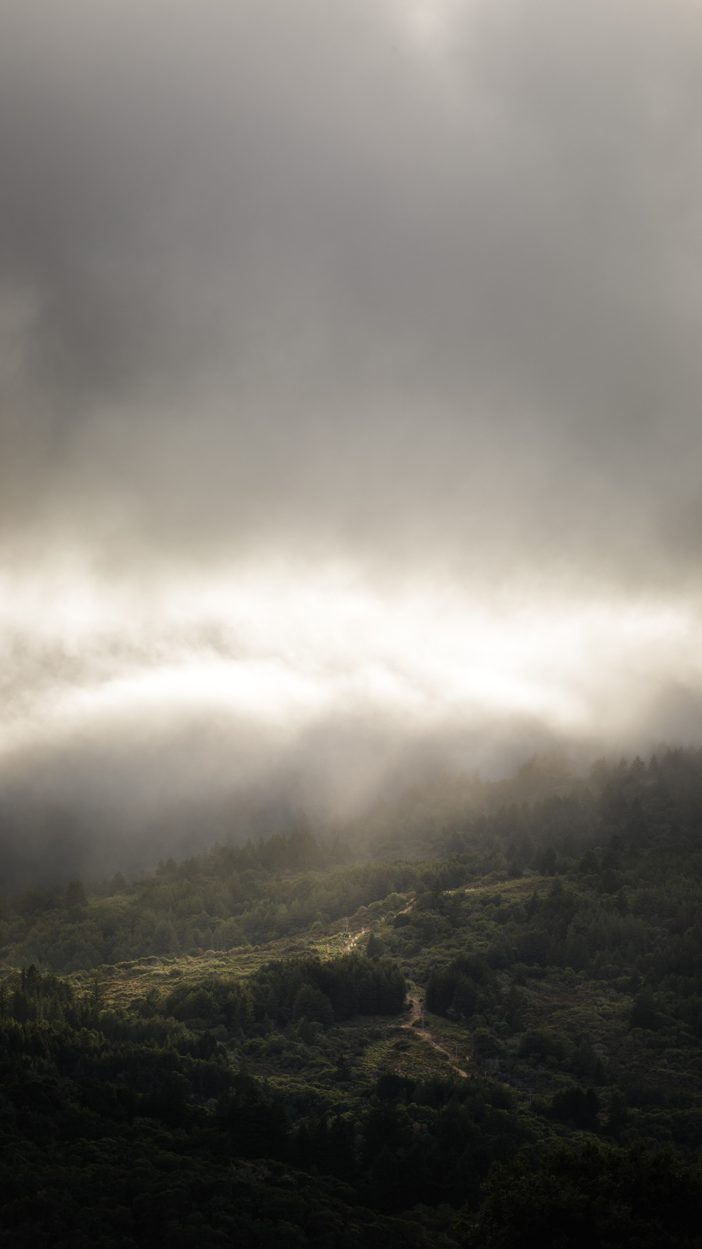 Ambiente, Luz, la Luz Del Sol, Niebla, Highland. Wallpaper in 1440x2560 Resolution