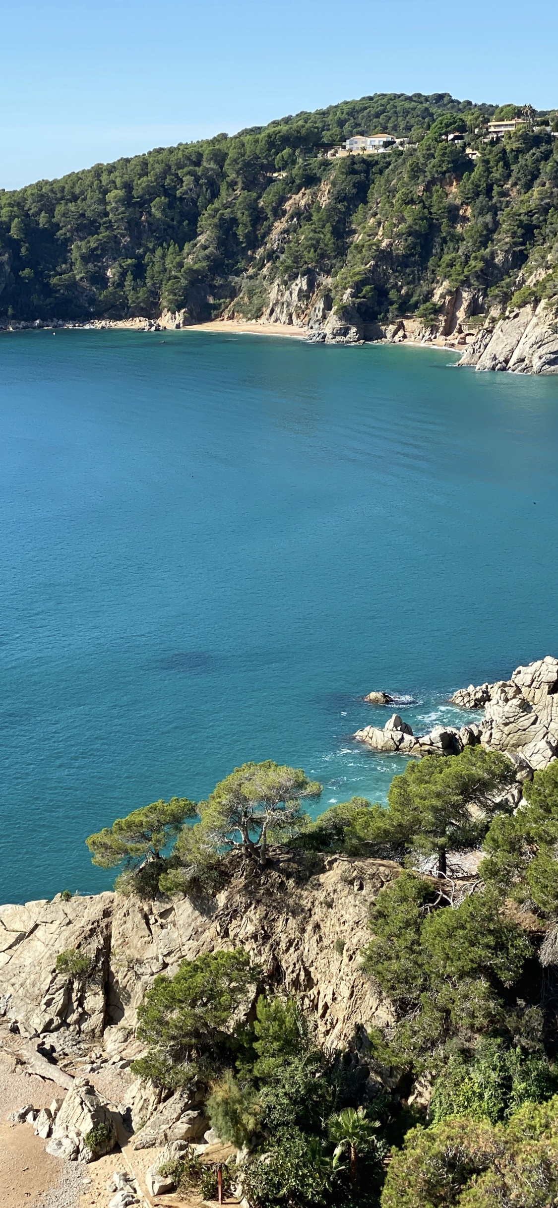 Meer, Gewässer, Natur, Vegetation, Küste. Wallpaper in 1125x2436 Resolution