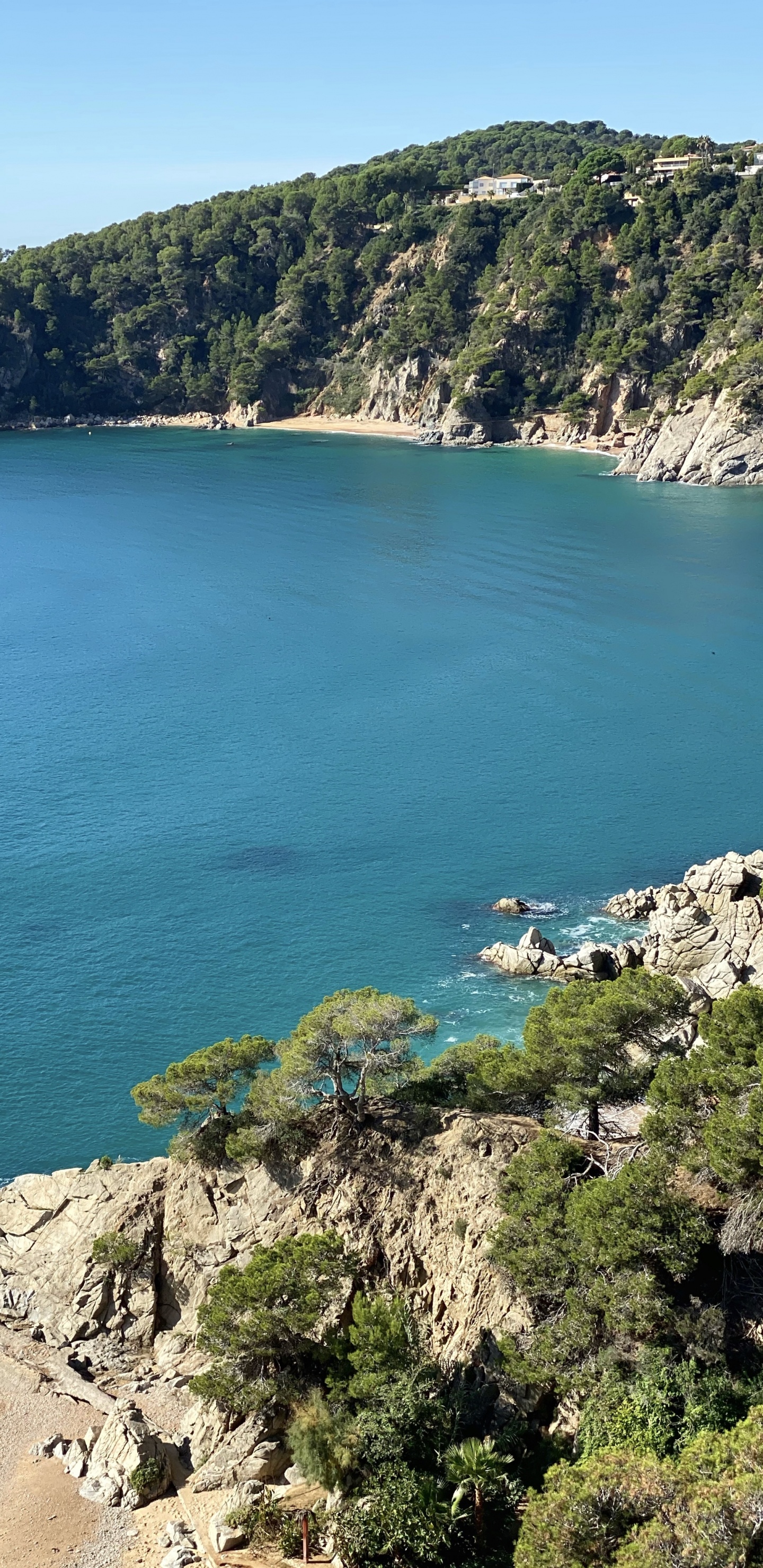 Meer, Gewässer, Natur, Vegetation, Küste. Wallpaper in 1440x2960 Resolution