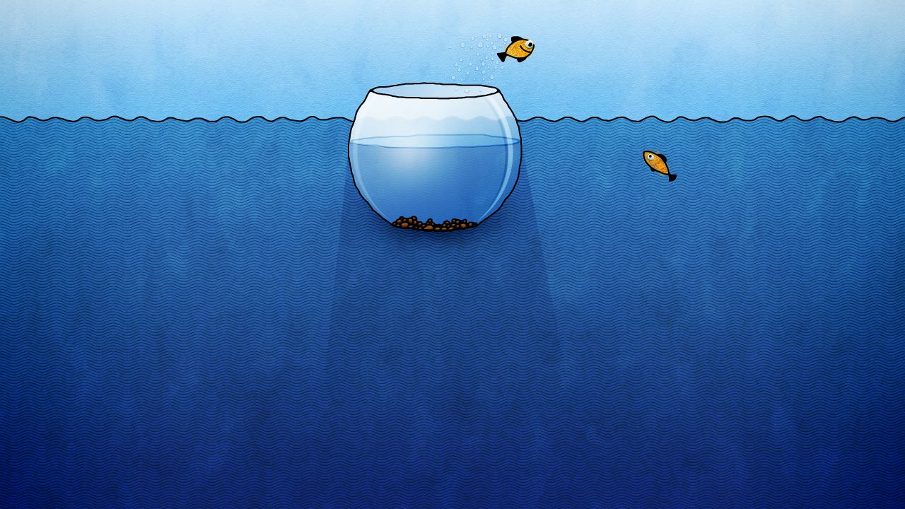 Bocal à Poisson en Verre Clair Sur Textile Bleu. Wallpaper in 1280x720 Resolution