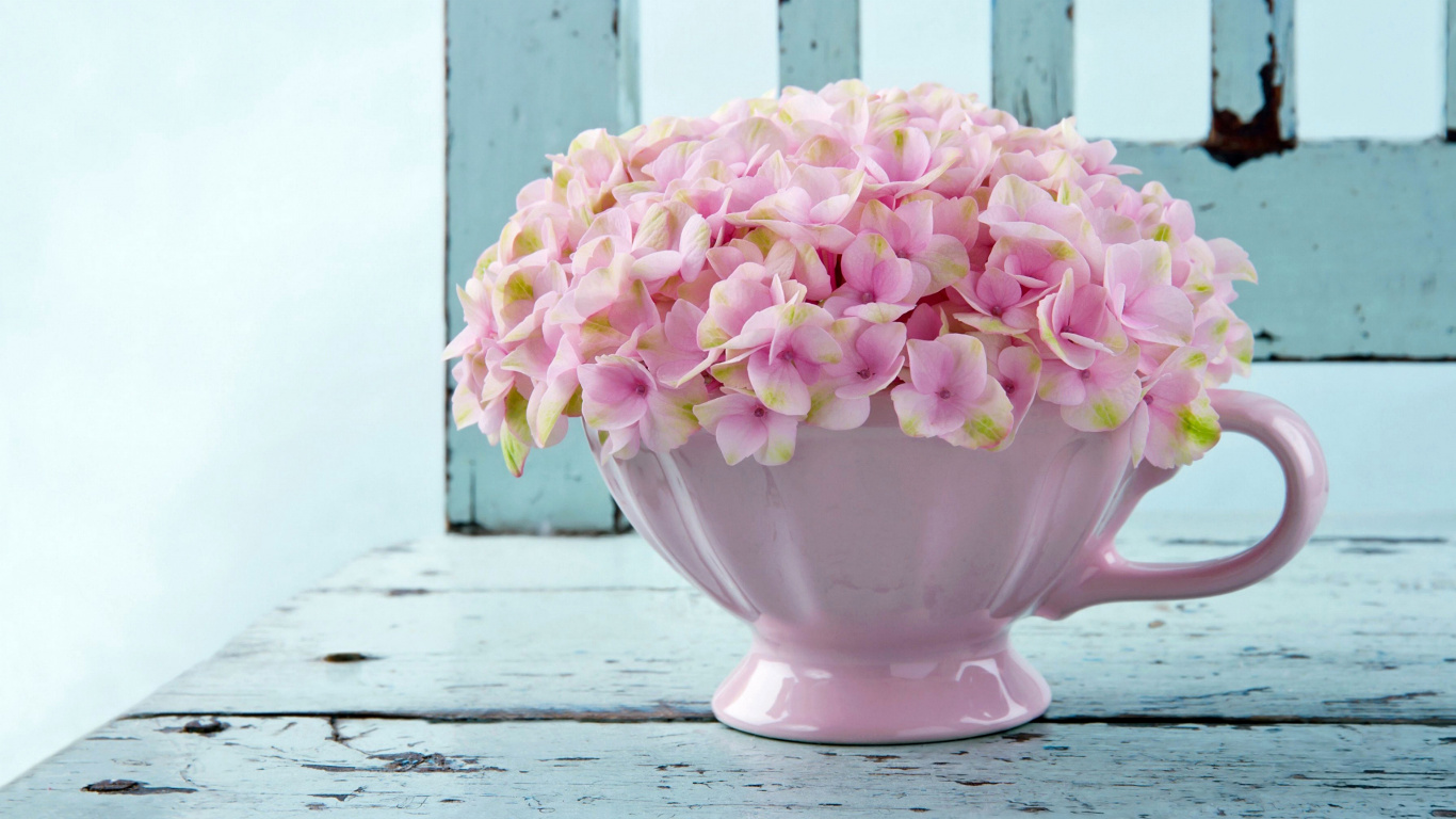 Pink and White Flower Bouquet in White Ceramic Vase. Wallpaper in 1366x768 Resolution