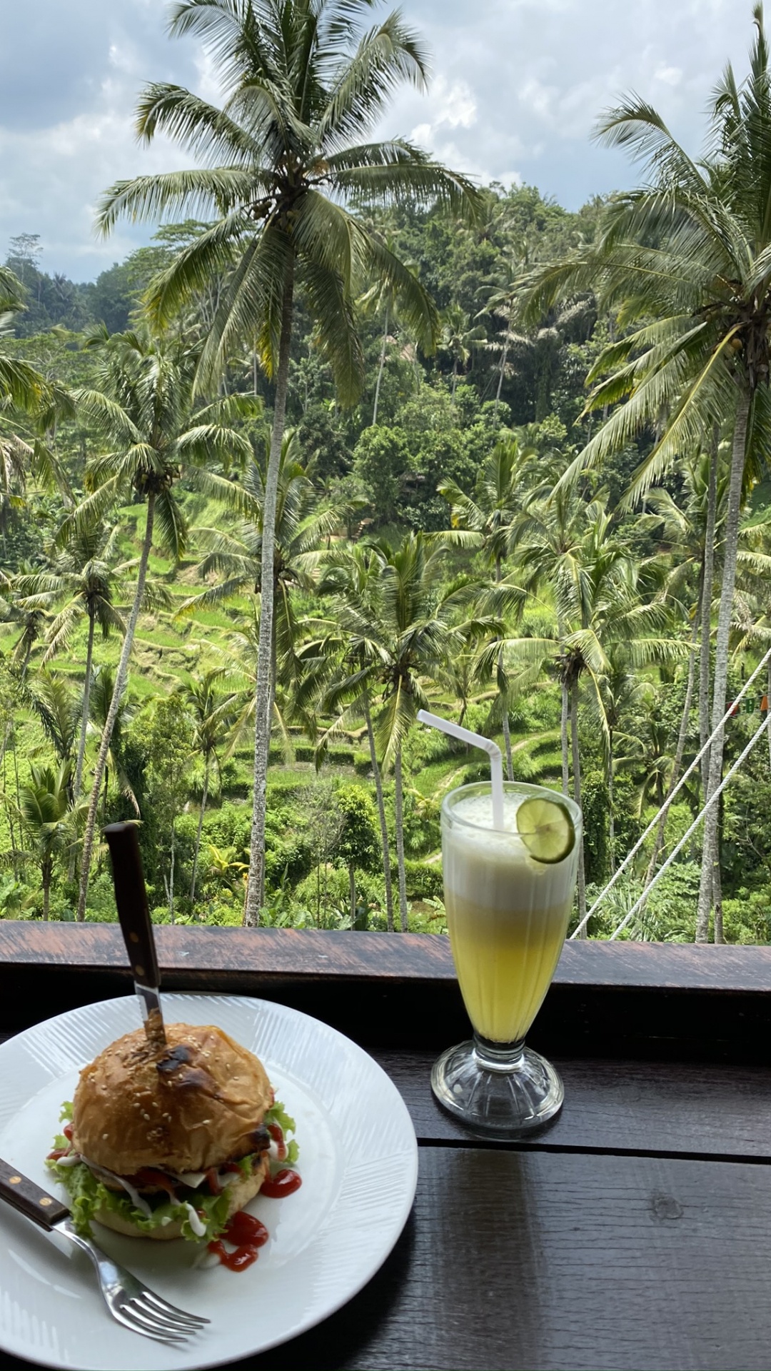 Palm Trees, Coconut, Science, Biology, Cooking. Wallpaper in 1080x1920 Resolution