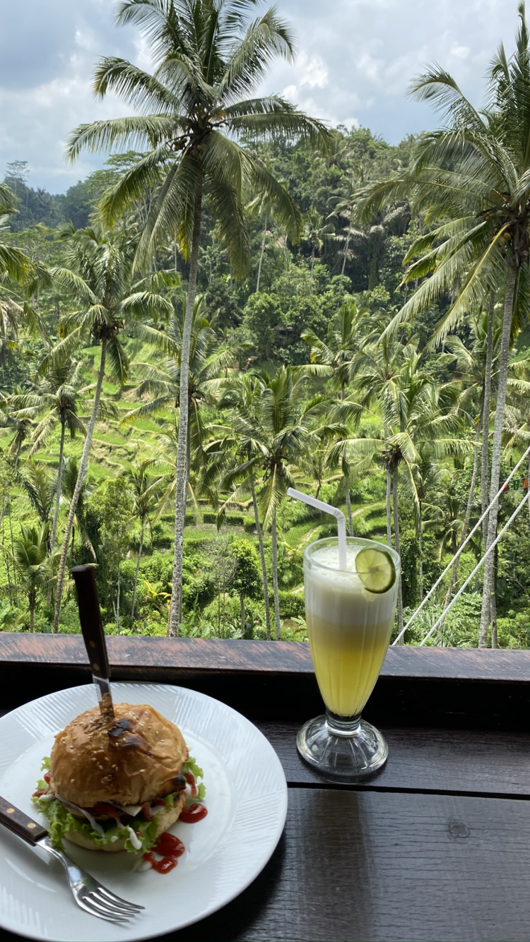 Palm Trees, Coconut, Science, Biology, Cooking. Wallpaper in 750x1334 Resolution