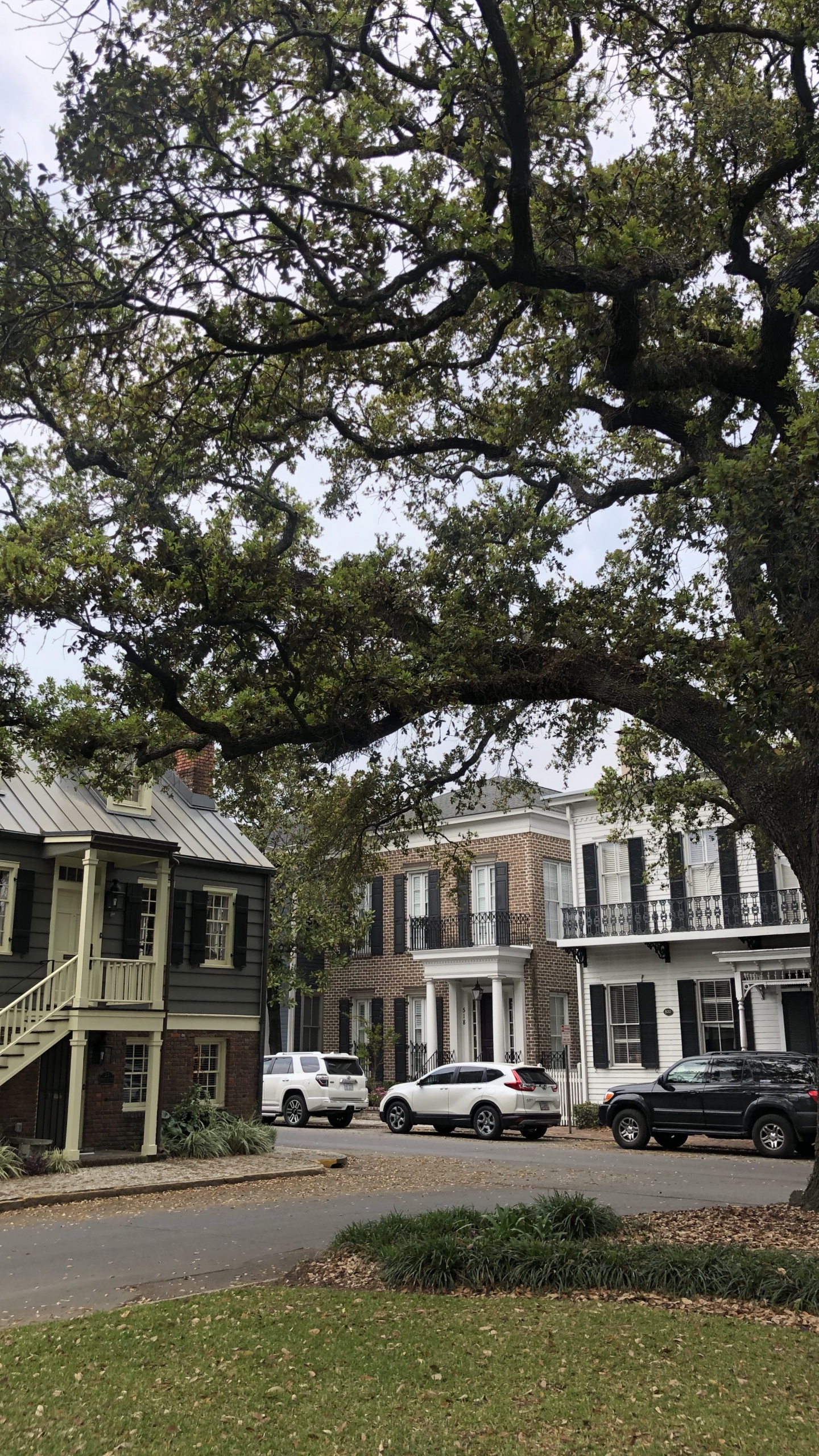 窗口, 酒店, 街区, 住宅区, 木本植物 壁纸 1440x2560 允许