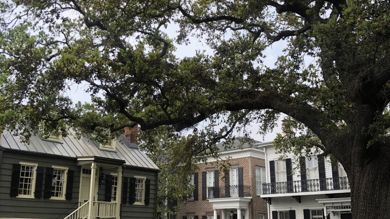 Fenêtre, Propriété, Quartier, Quartier Résidentiel, Bâtiment. Wallpaper in 1366x768 Resolution