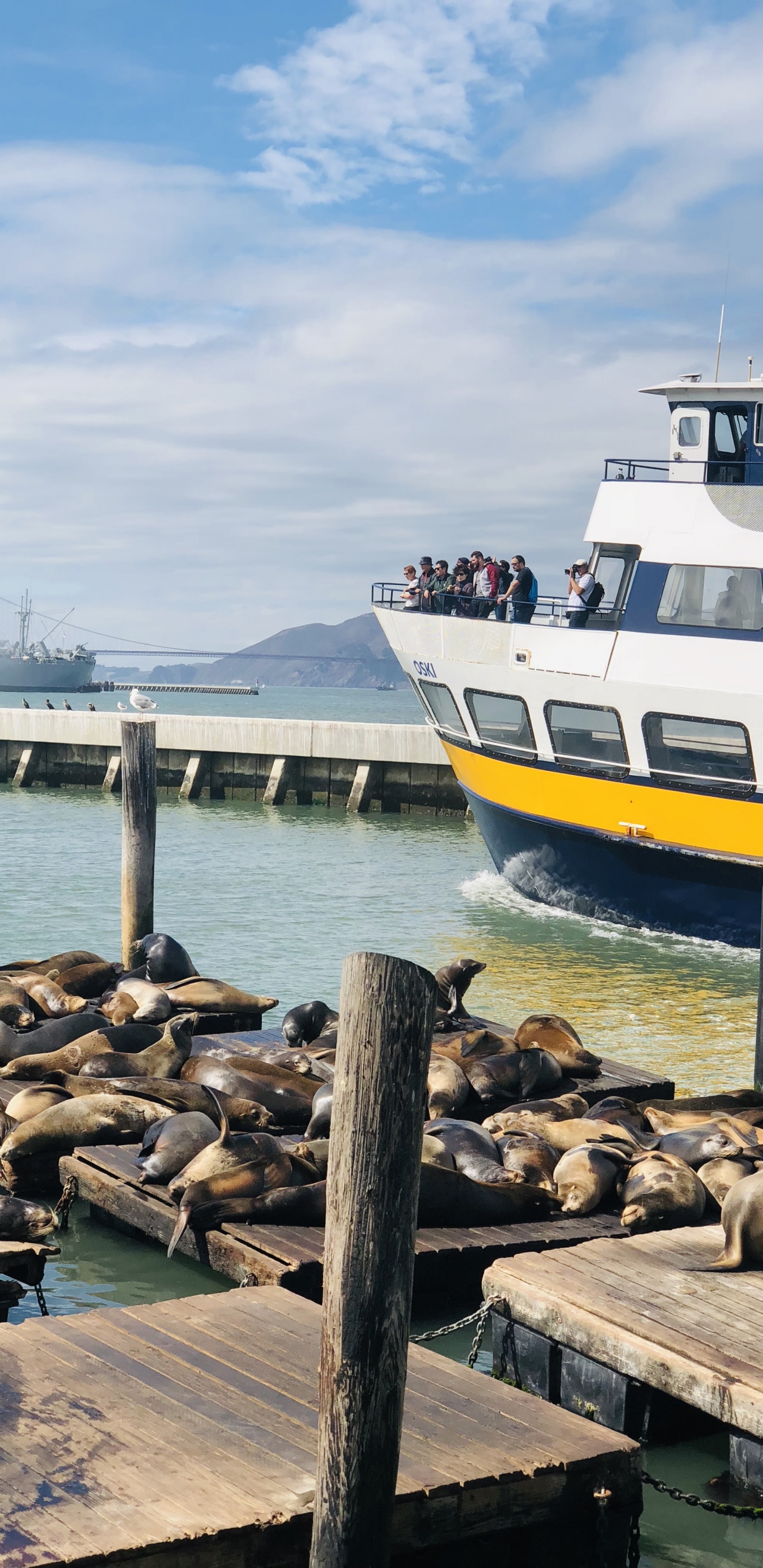 Muelle, San Francisco, el Transporte Del Agua, Barco, Ferry. Wallpaper in 1440x2960 Resolution