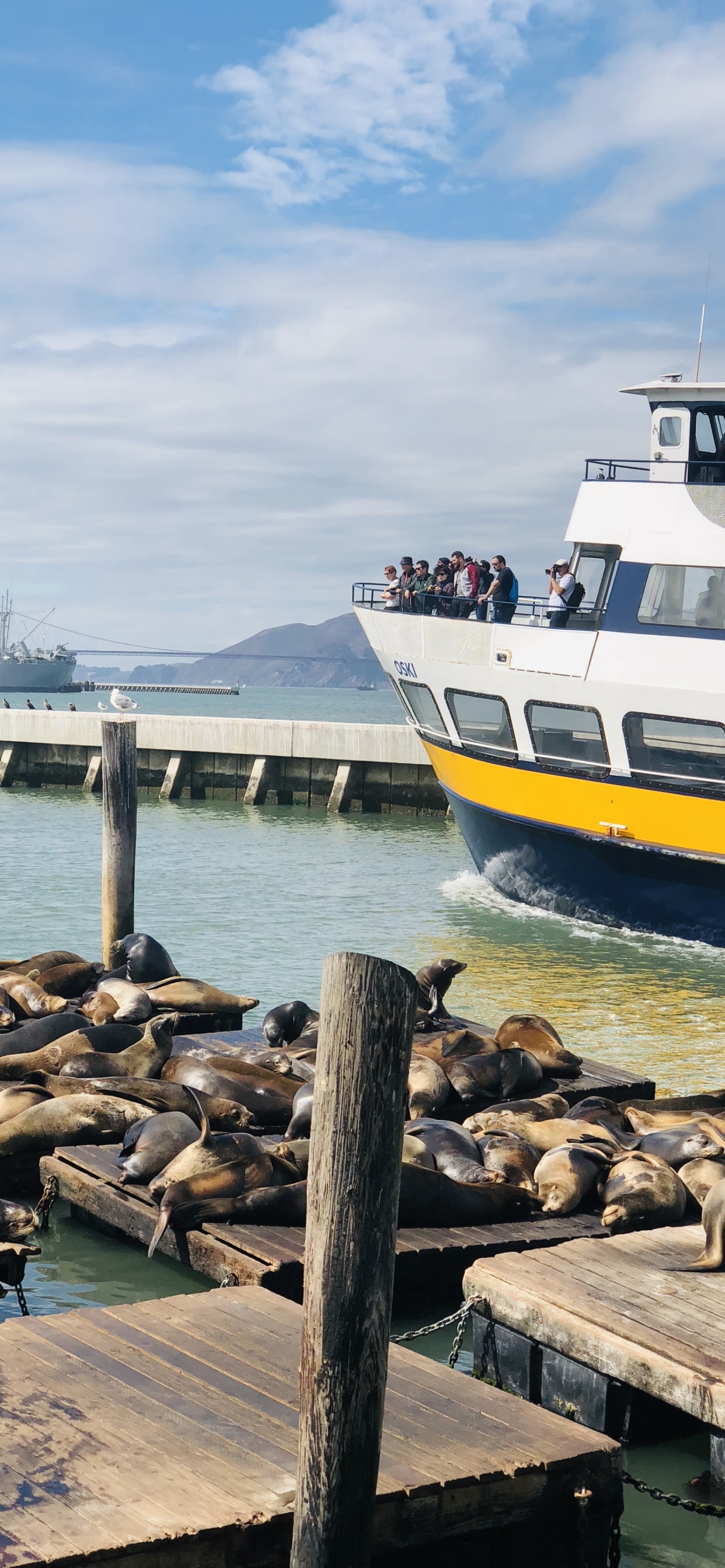 Pier, San Francisco, le Transport de L'eau, Bateau, Ferry. Wallpaper in 1242x2688 Resolution